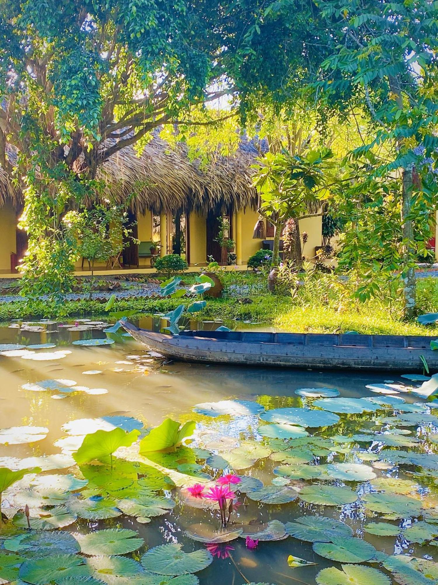 Mango Riverside Ben Tre