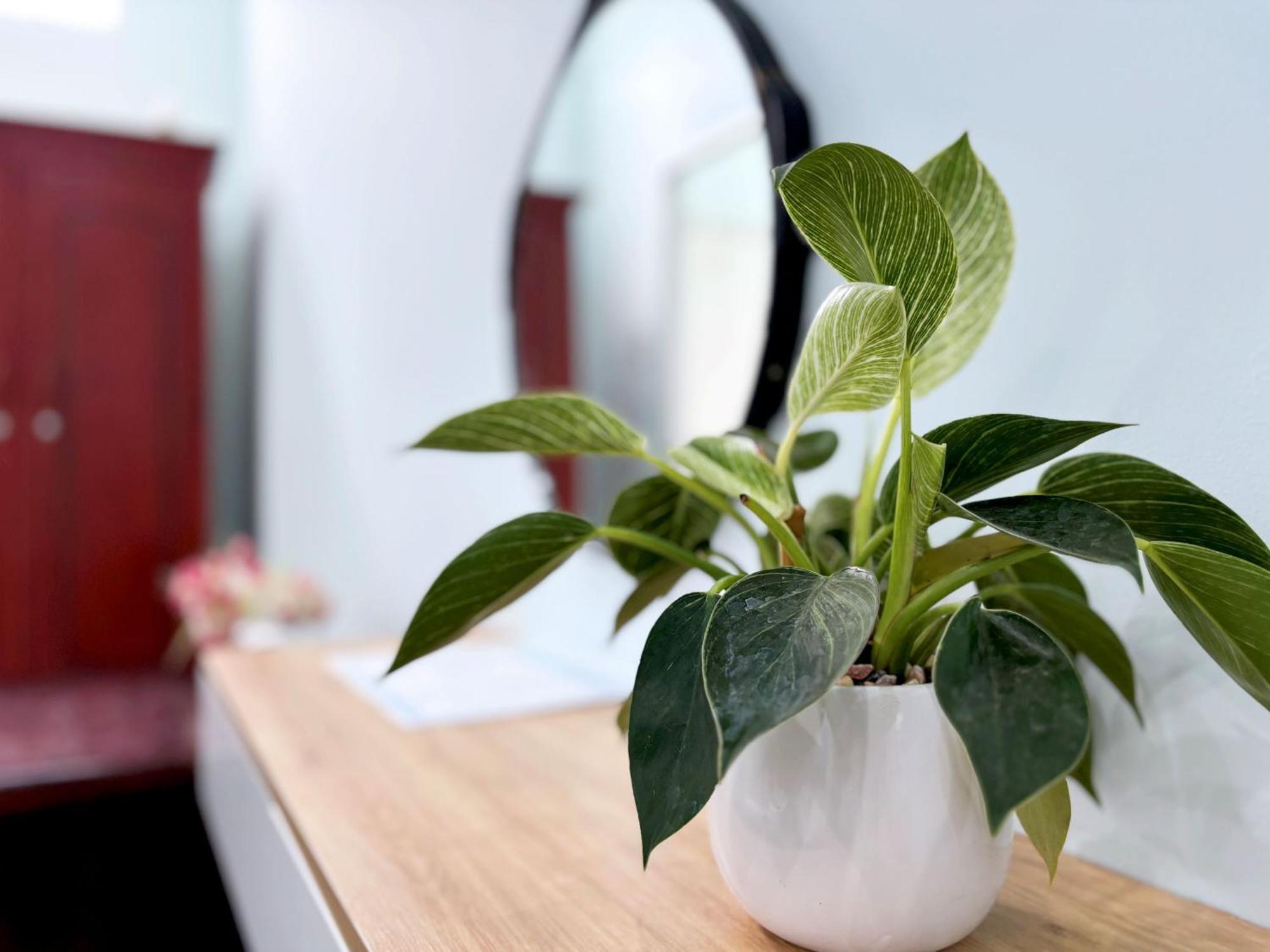 Guest house Quoc Dinh 2*