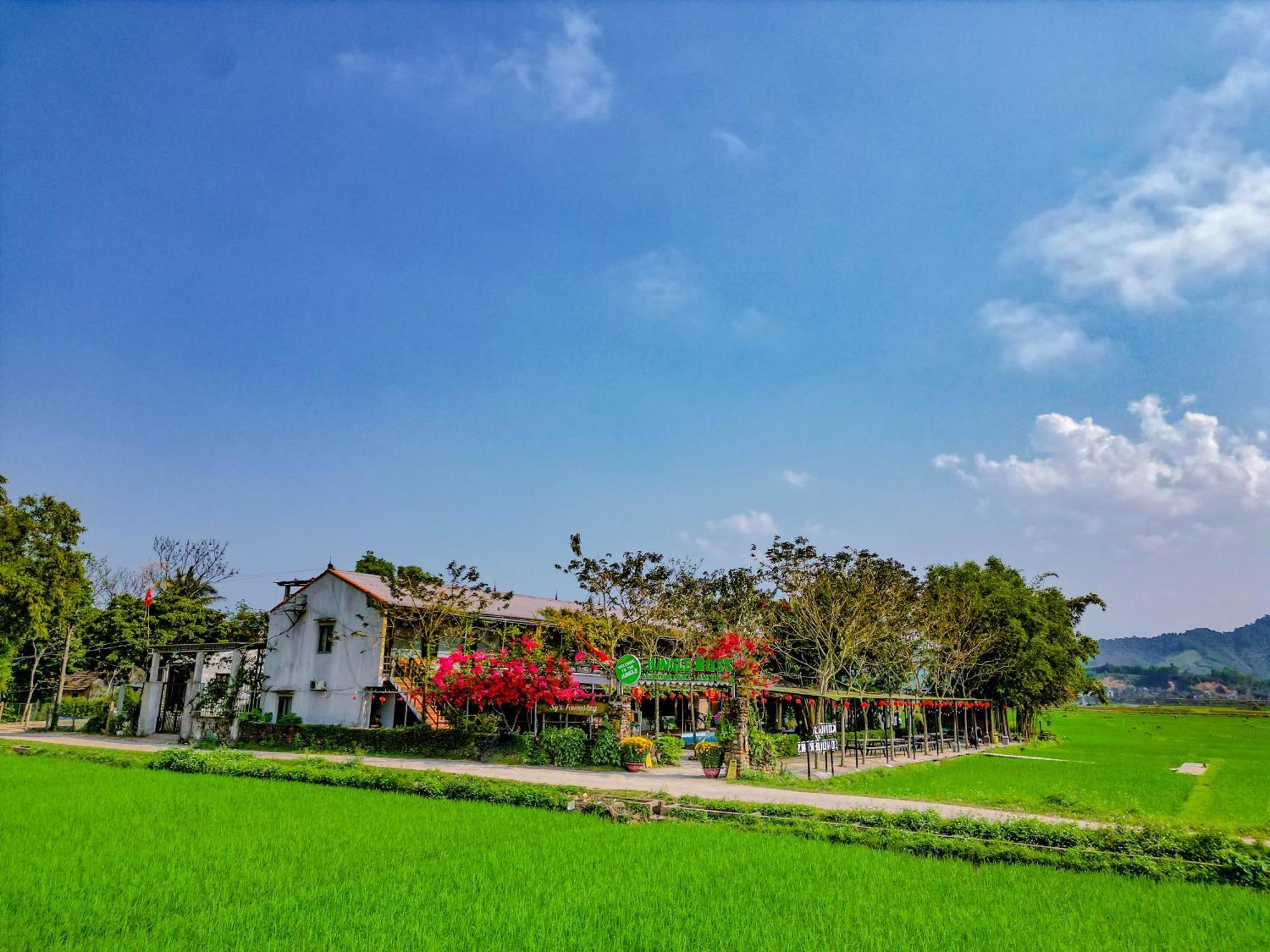 Homestay Jungle Boss Travel *
