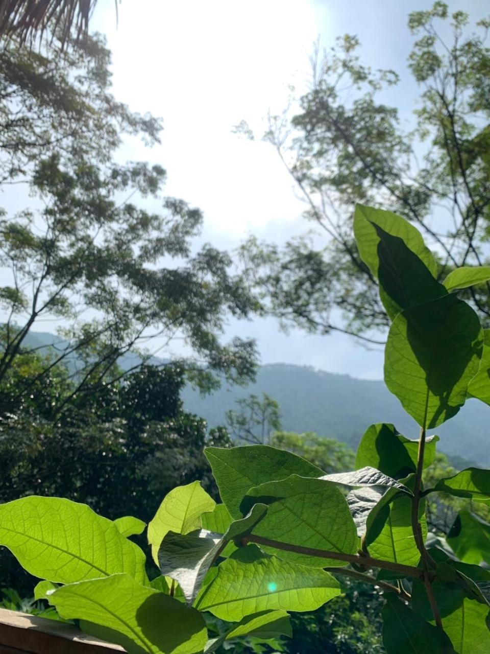La Vie Est Belle - Wellness, Yoga And Meditation