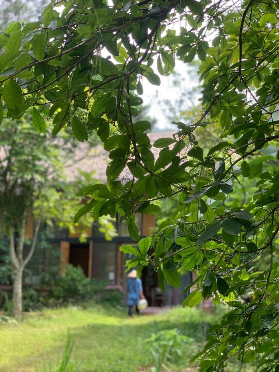 La Vie Est Belle - Wellness, Yoga And Meditation Hà Nội