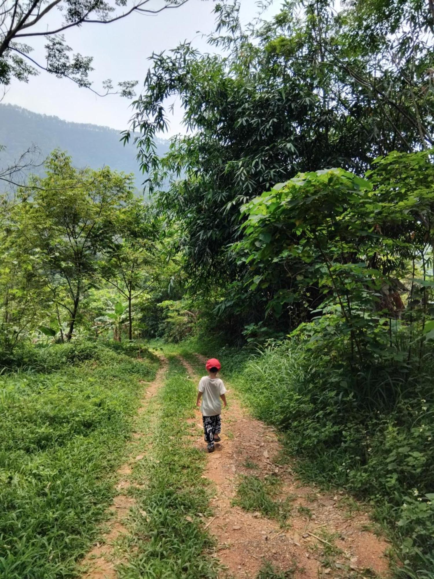 La Vie Est Belle - Wellness, Yoga And Meditation Khu cắm trại *
