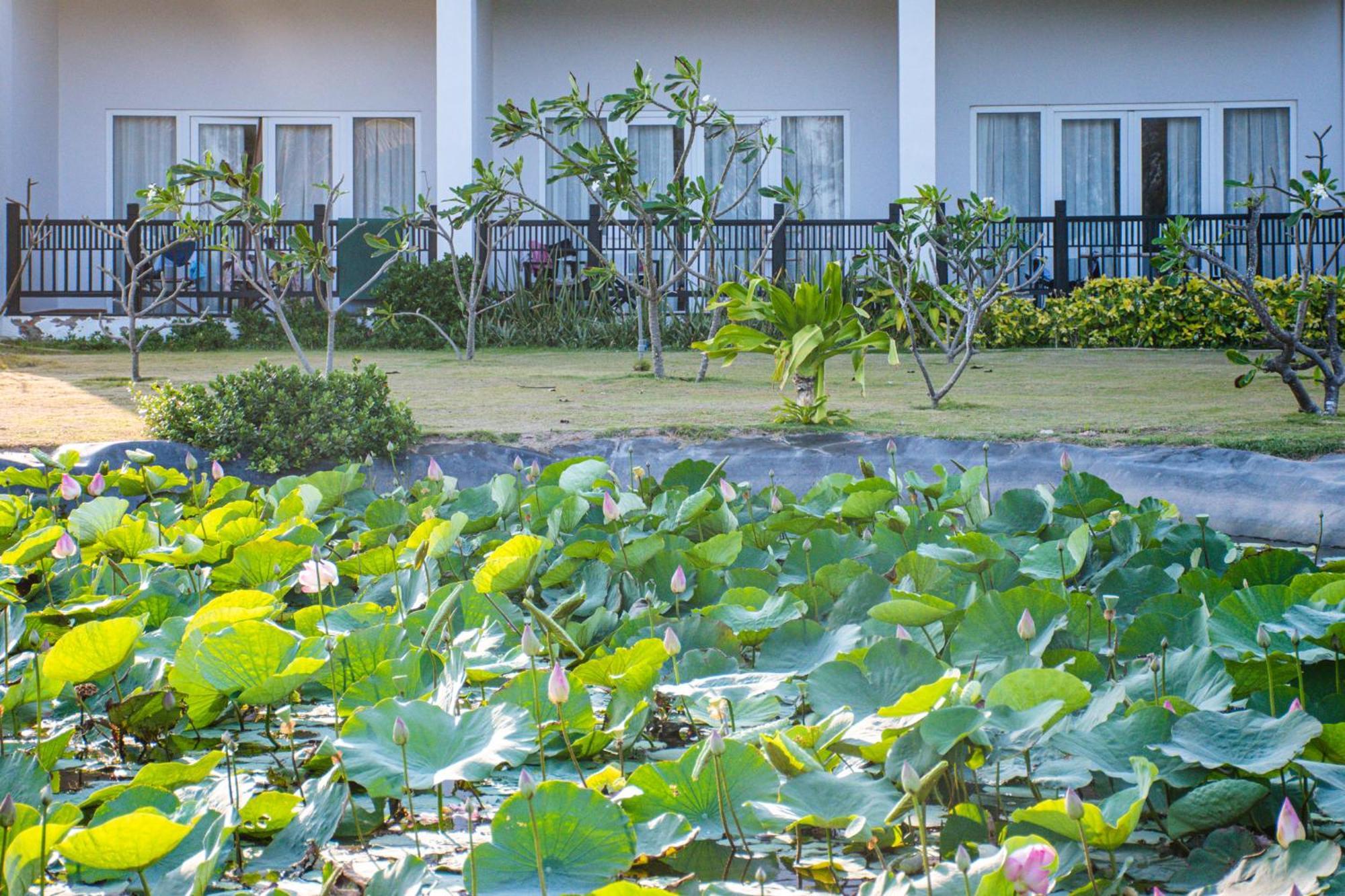Khu nghỉ mát Muine Bay 4*