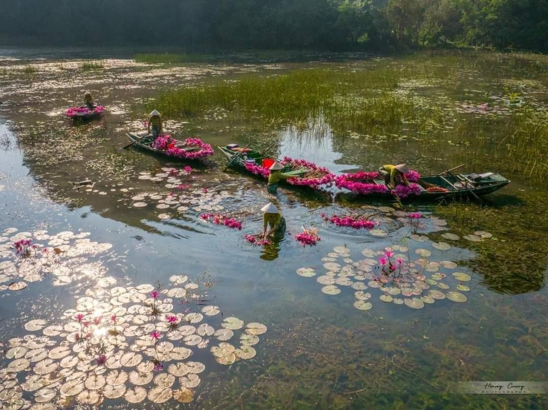 Homestay Tam Coc Paradise