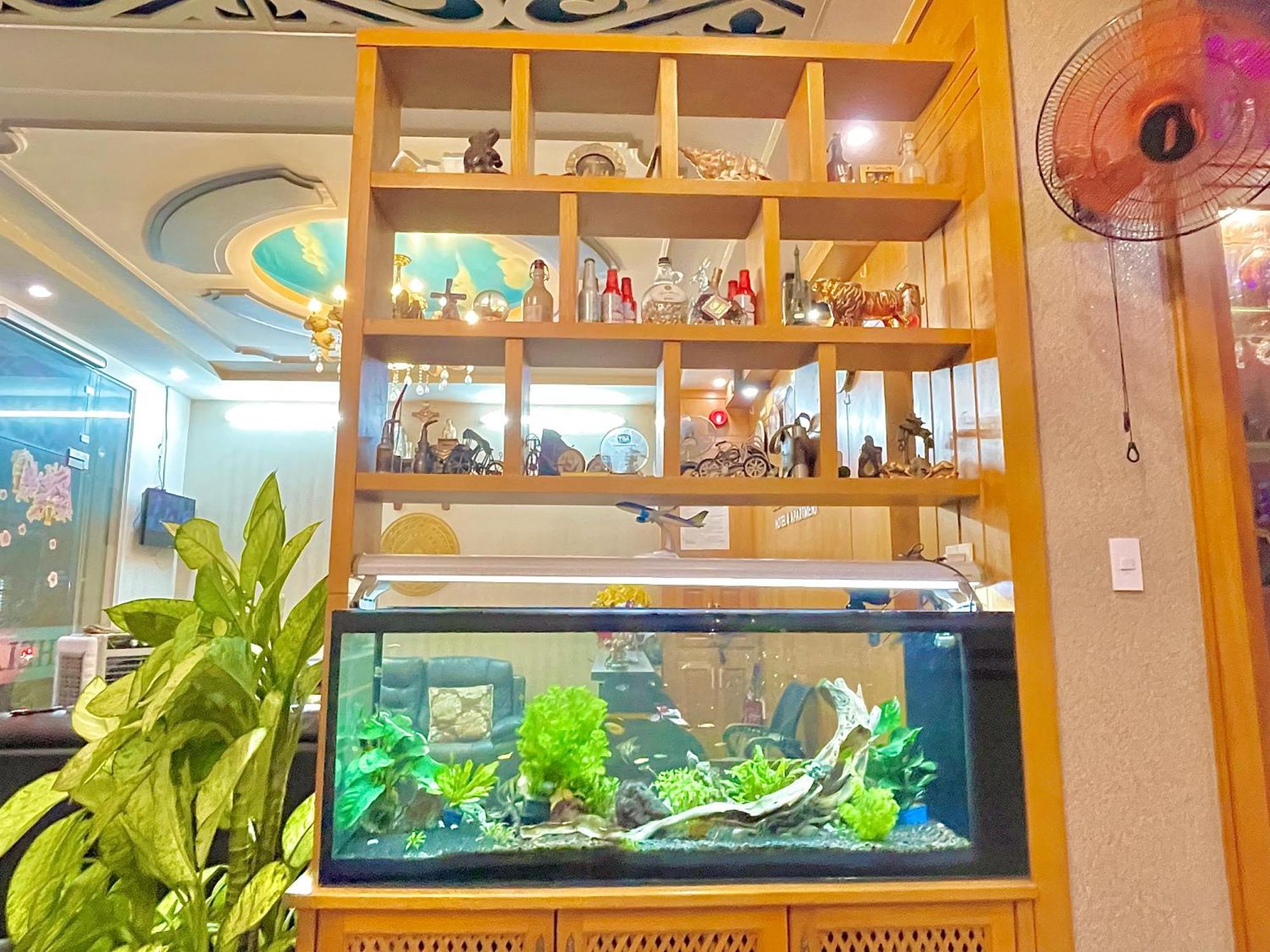 Helen Hotel&apartment Vũng Tàu