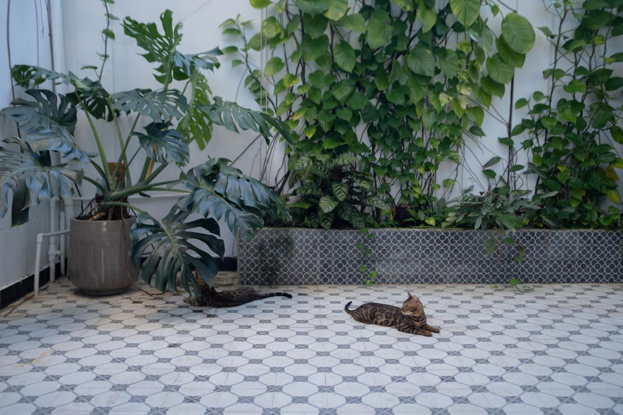 Homeday Retreats * Tan Thanh