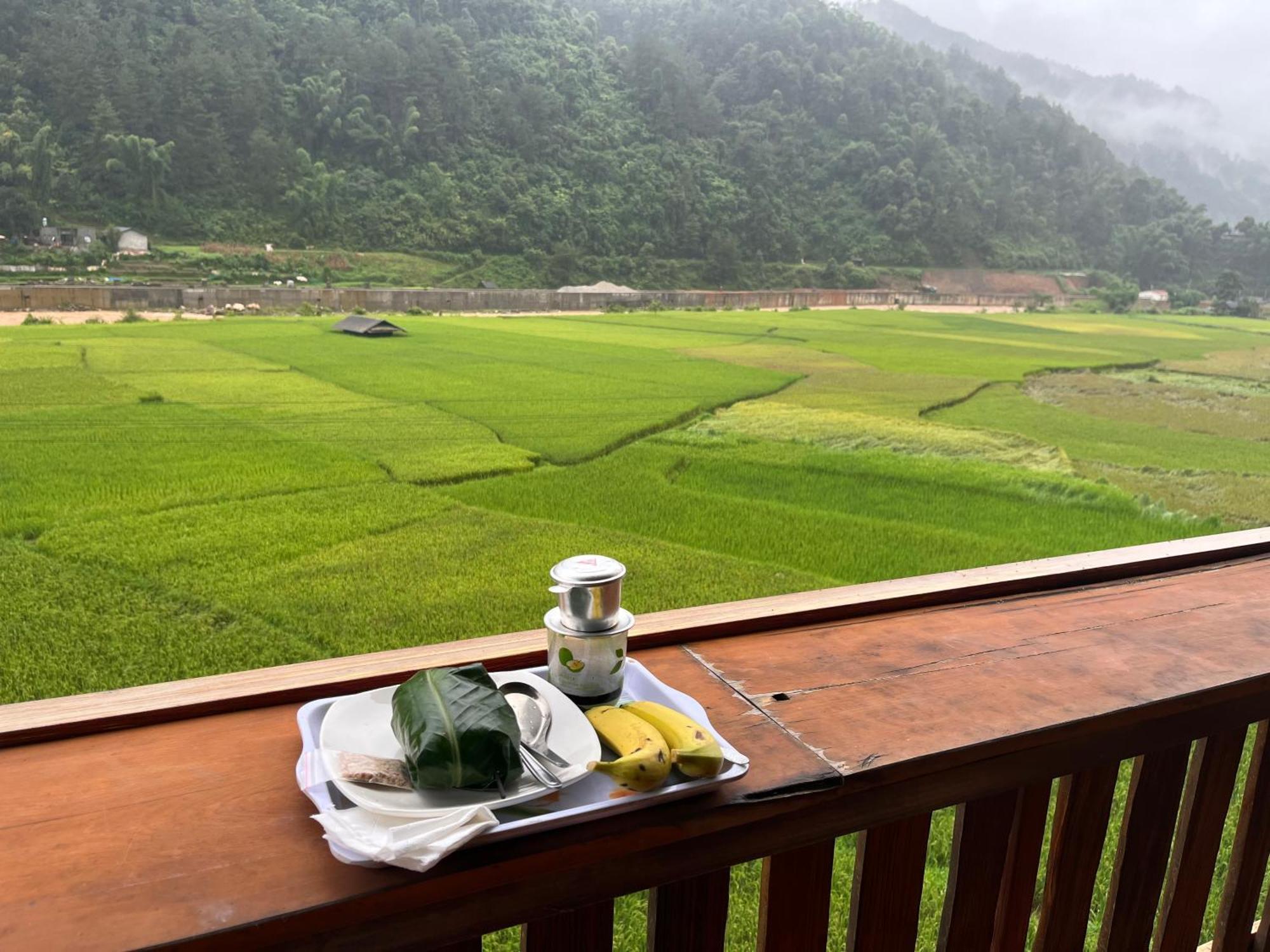 Hoa Thao Mu Cang Chai