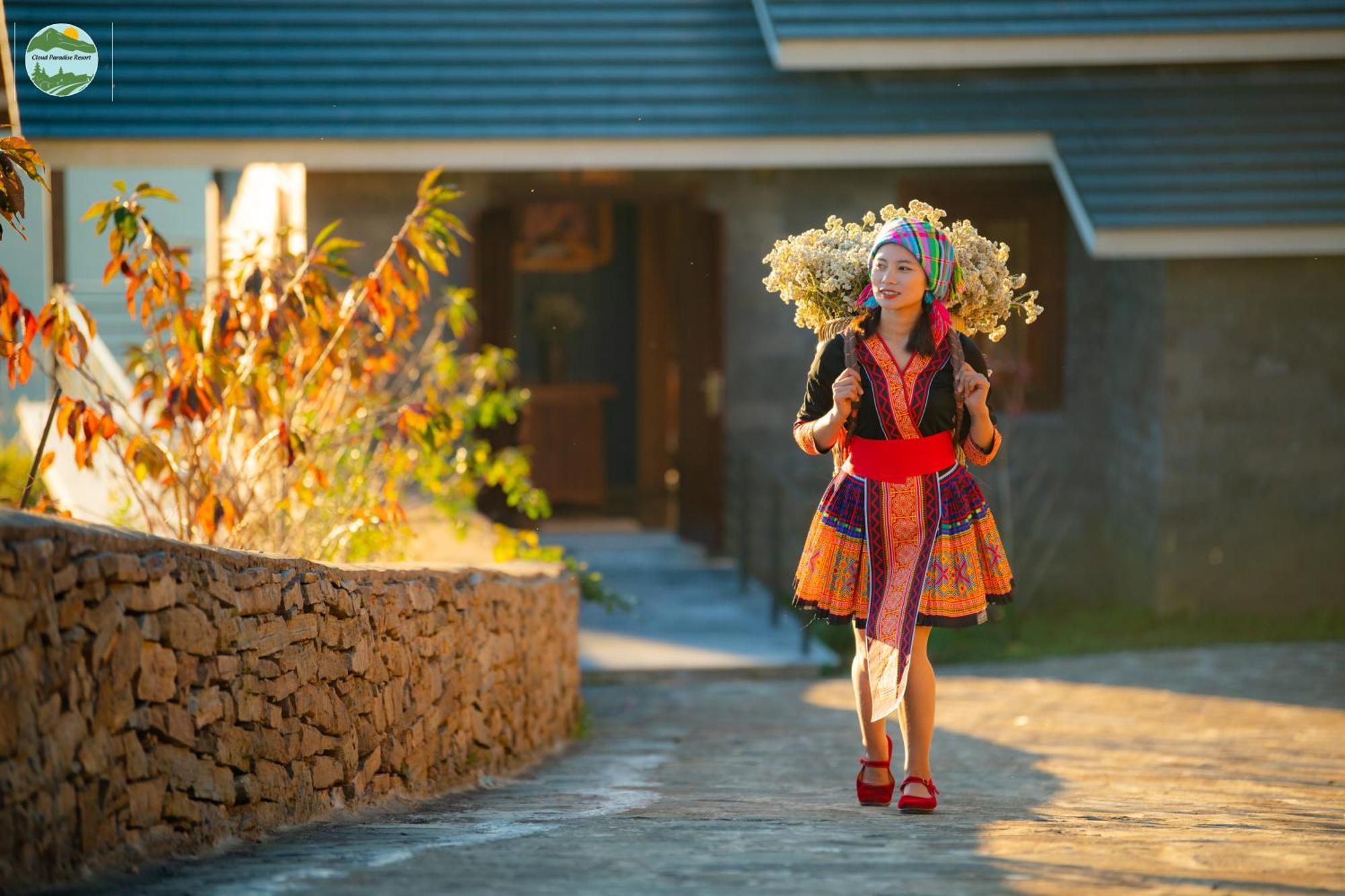 Cloud Paradise Hotel 4*