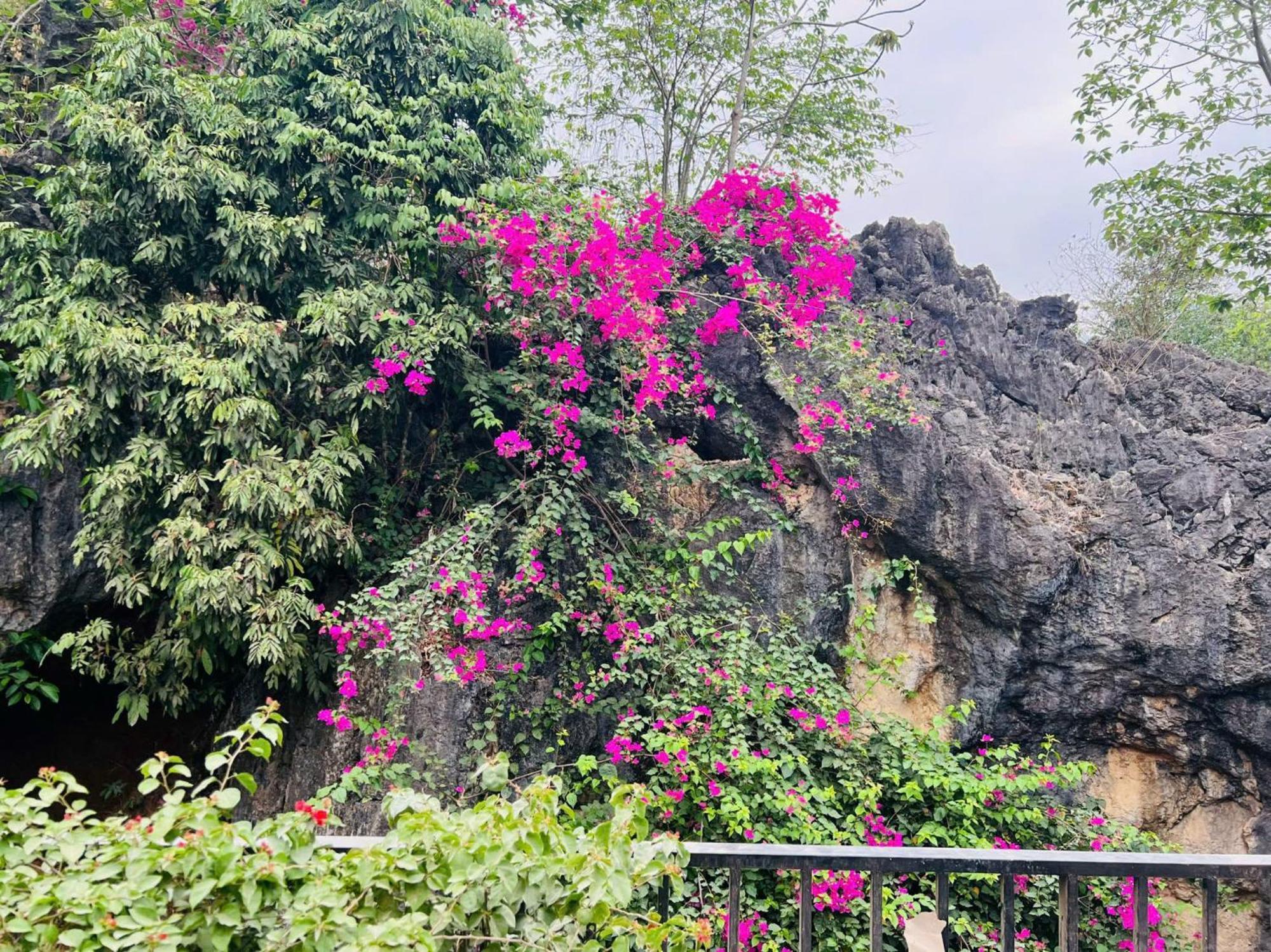 4 Seasons & 4* Mai Chau