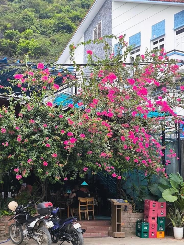 Jasmine & Roof Bar Hostel *