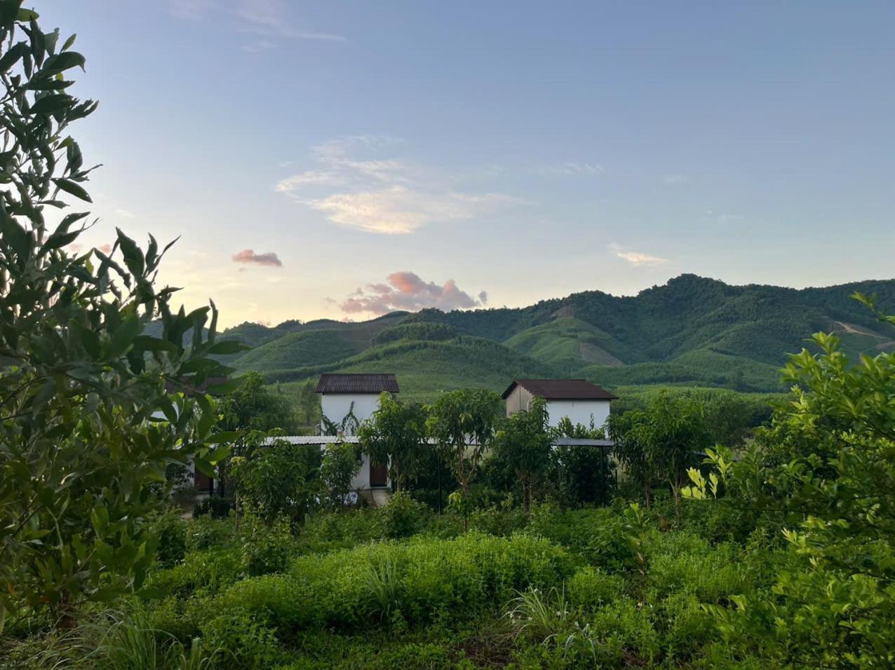 Nguyen Shack Retreat *