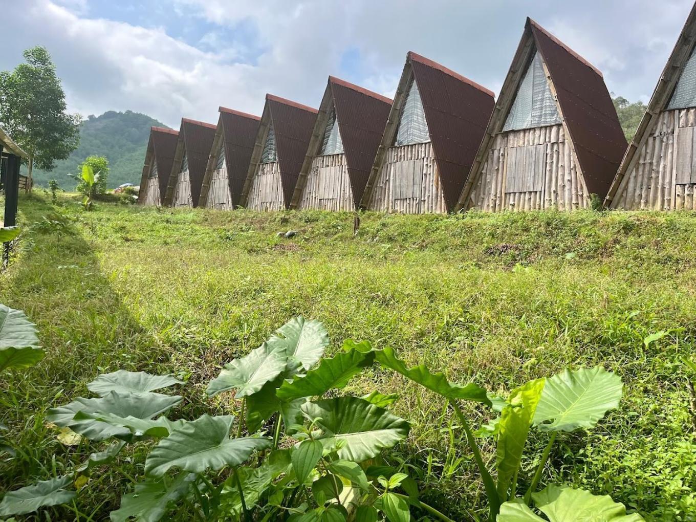 Nguyen Shack Retreat Phong Nha