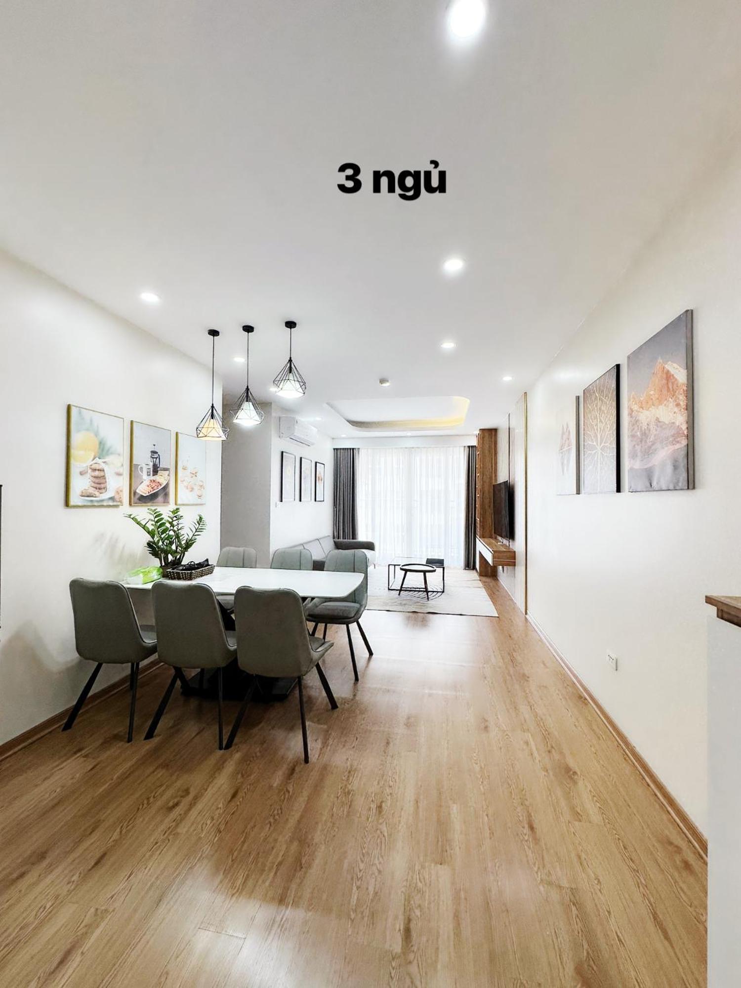 Apartment Vip