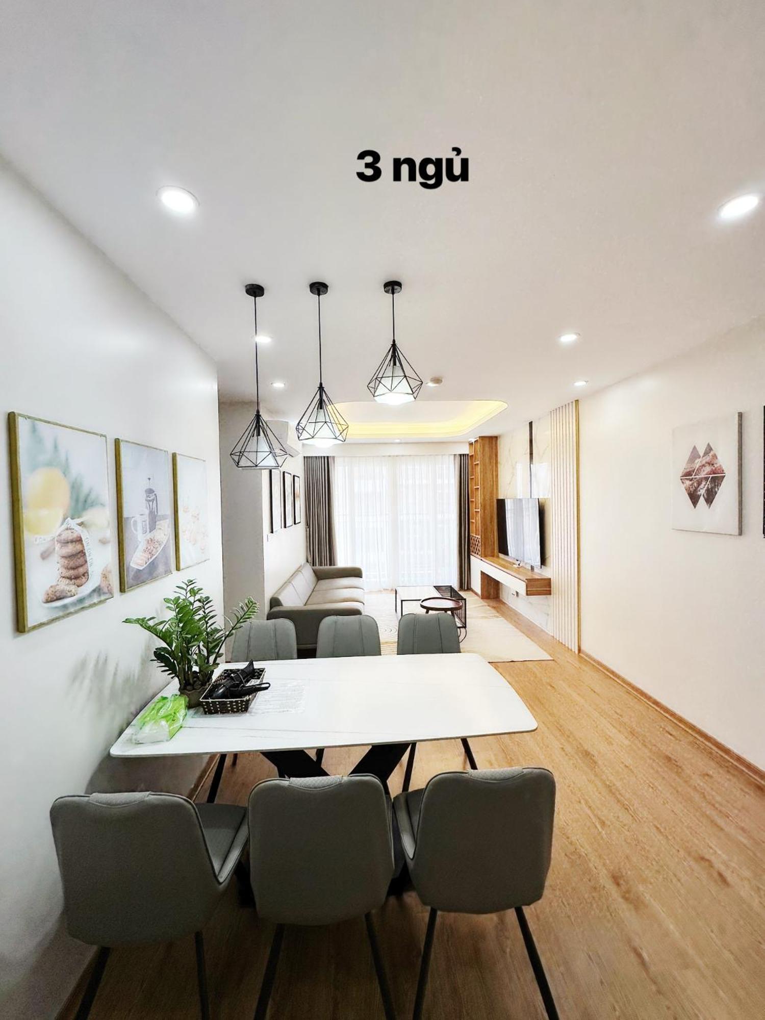 Apartment Vip
