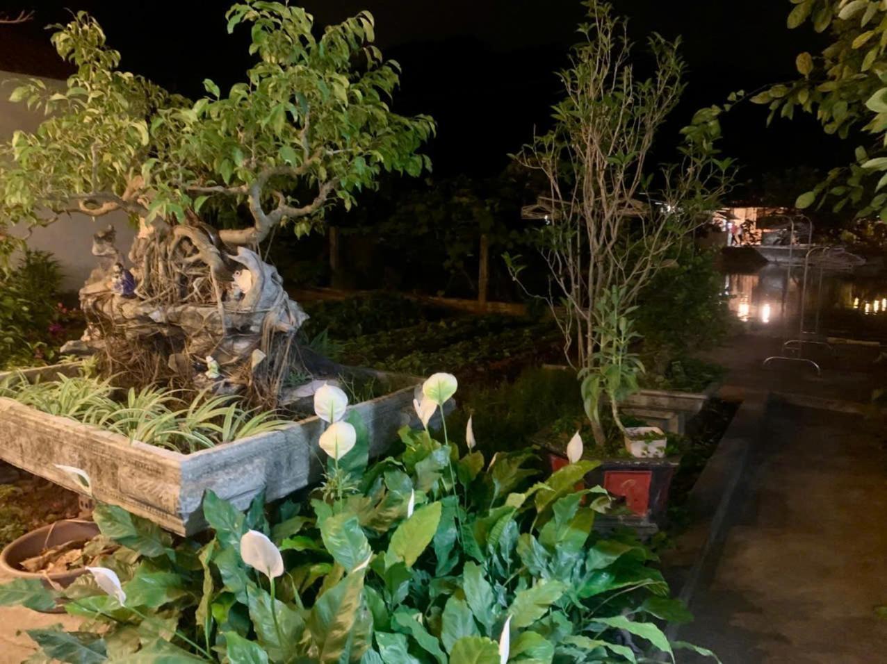 Blue Garden Apartment Ninh Binh