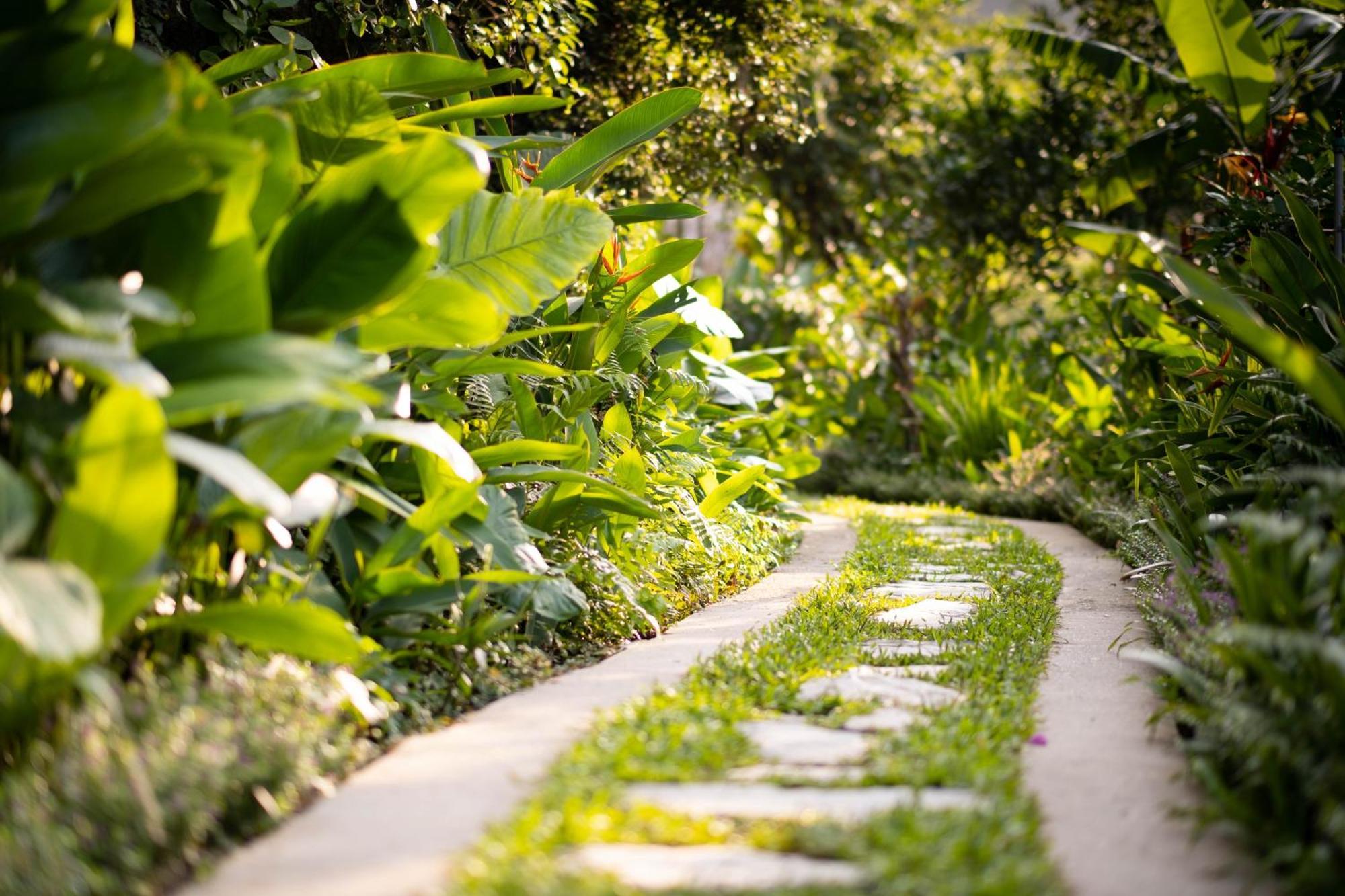 Resort Trang An
