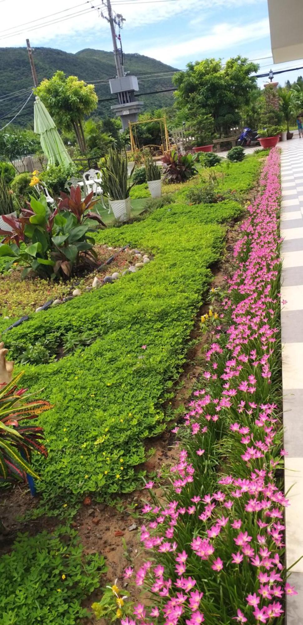 Garden House Con Dao Chi Khu Co Ong