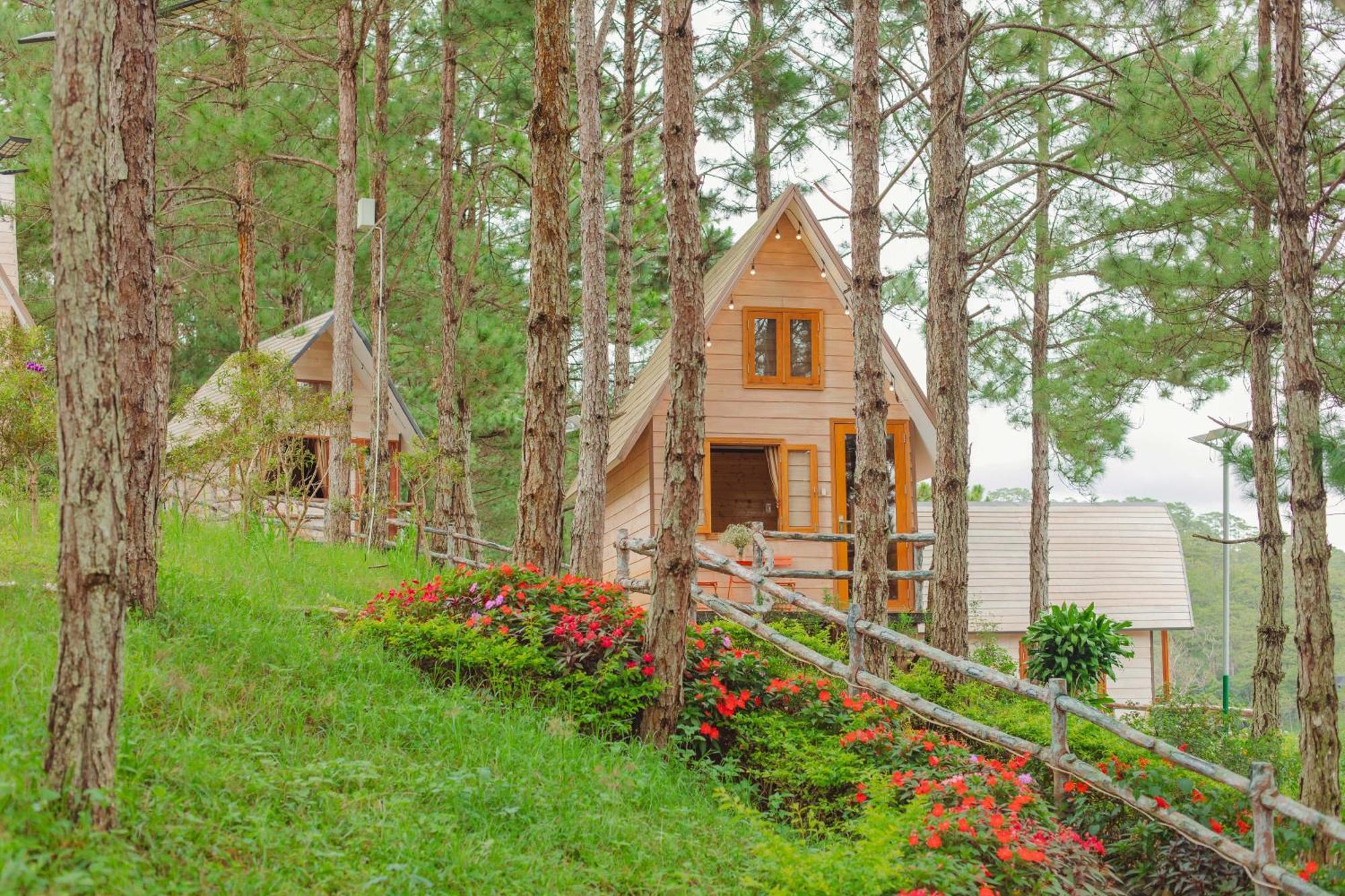 Rừng Lá Kim Khu nghỉ mát 4*