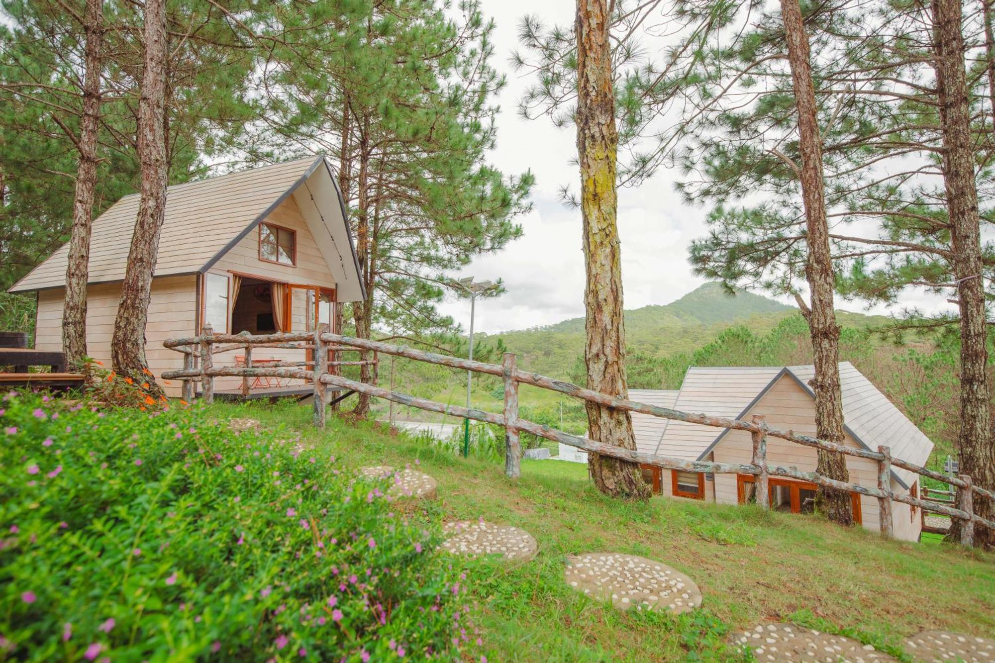 Khu nghỉ mát Rừng Lá Kim 4*