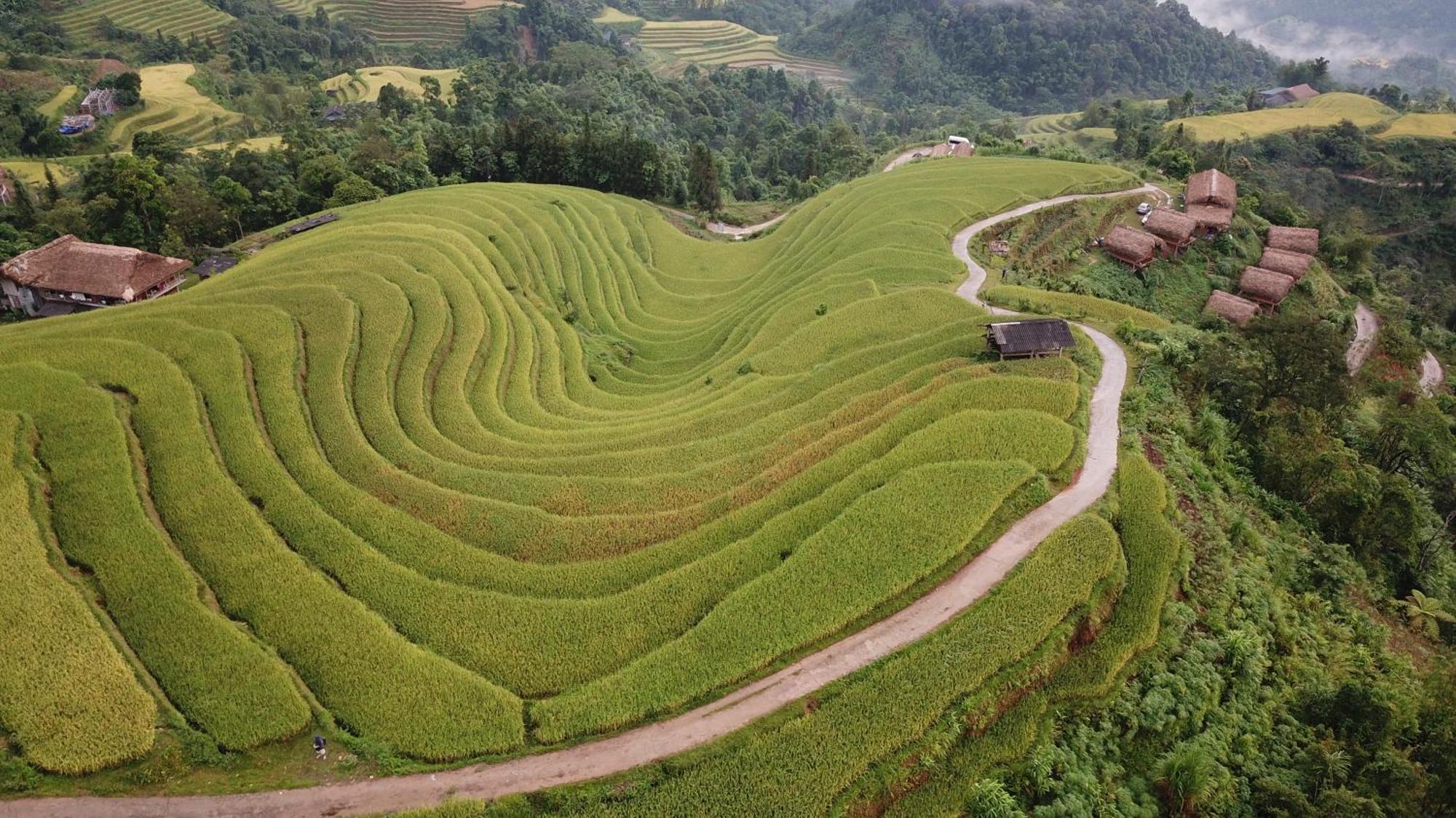 Hoang Su Phi - Mong Ngua Bed & Breakfast *