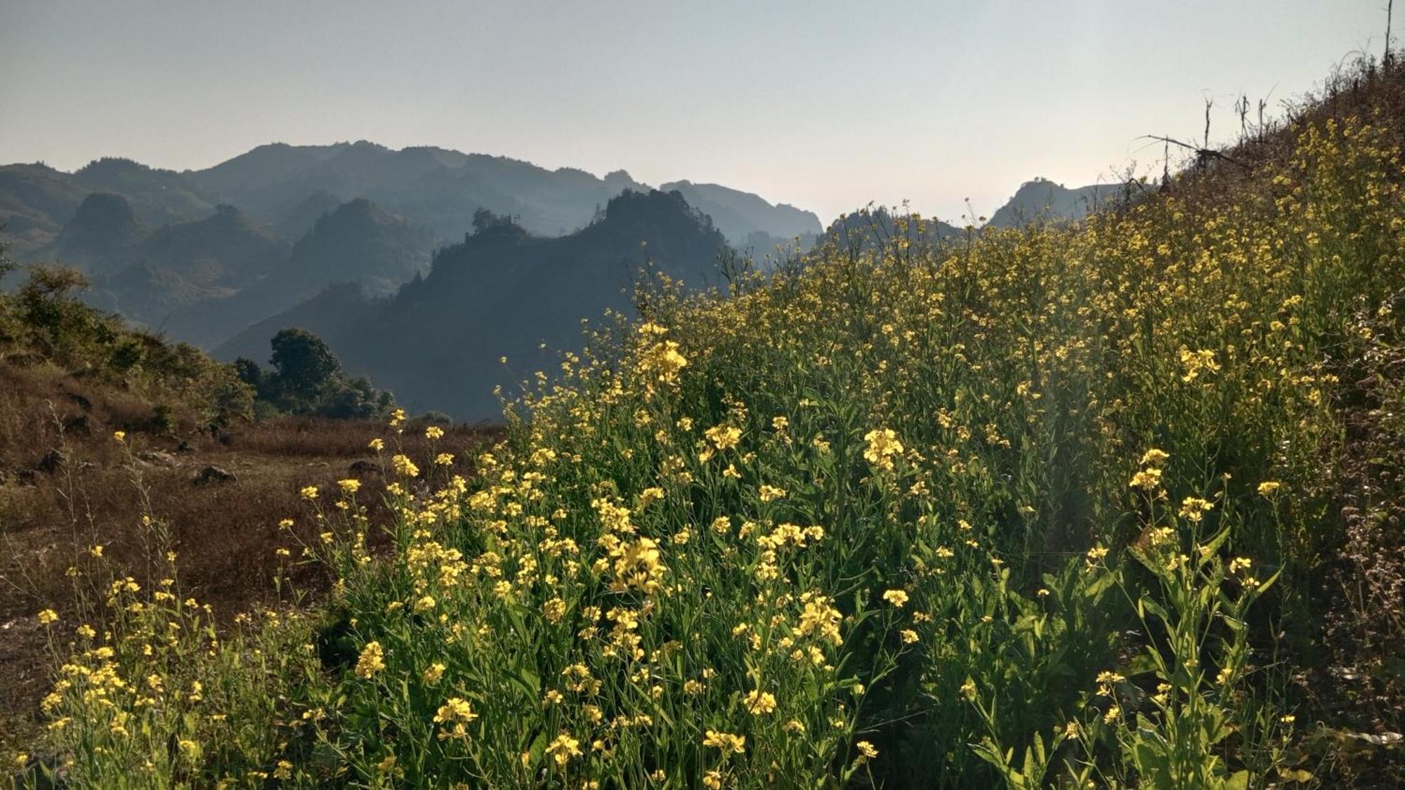 Ở trọ Higland Bac Ha (Lao Cai)