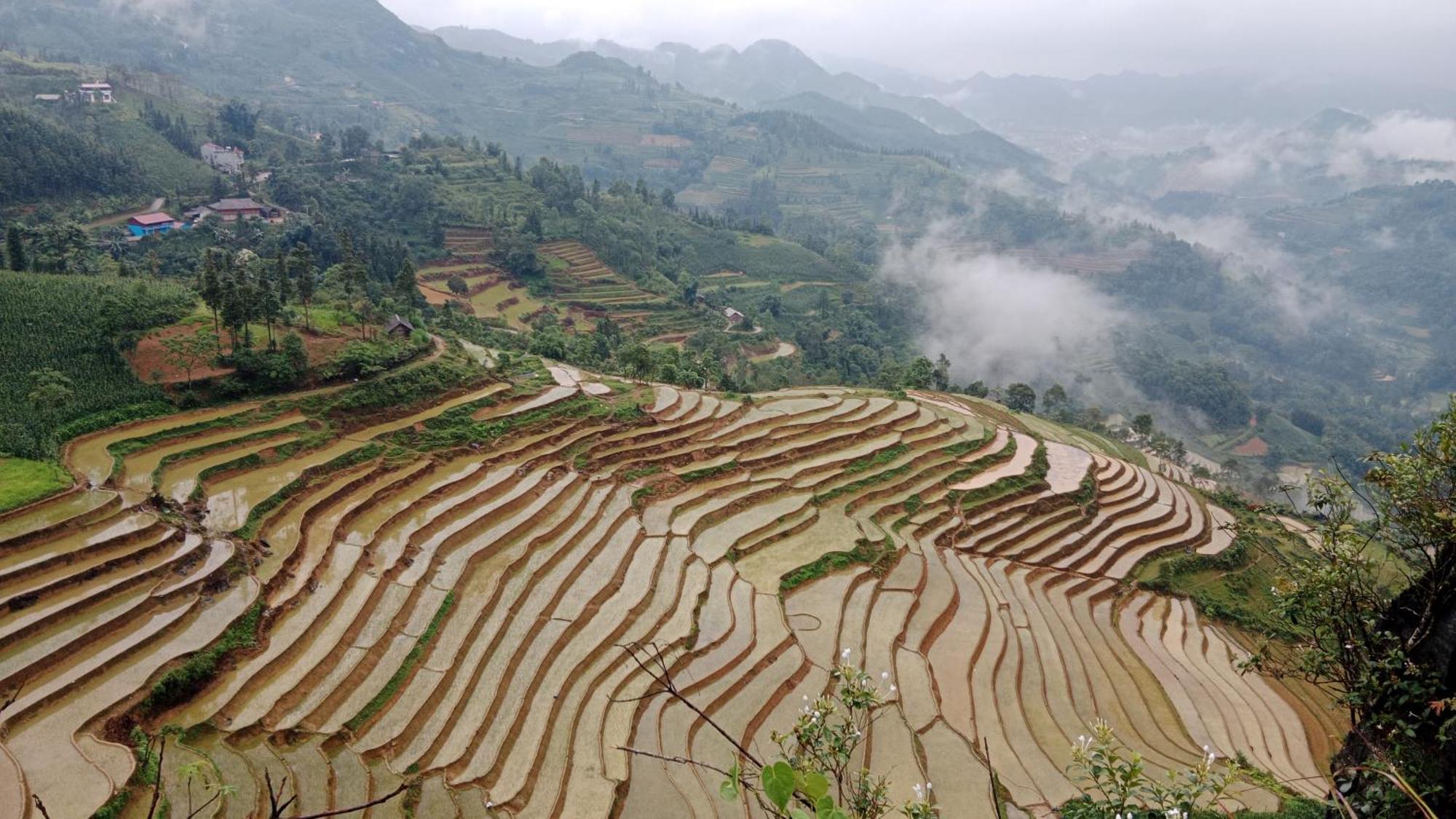 Ở trọ Higland