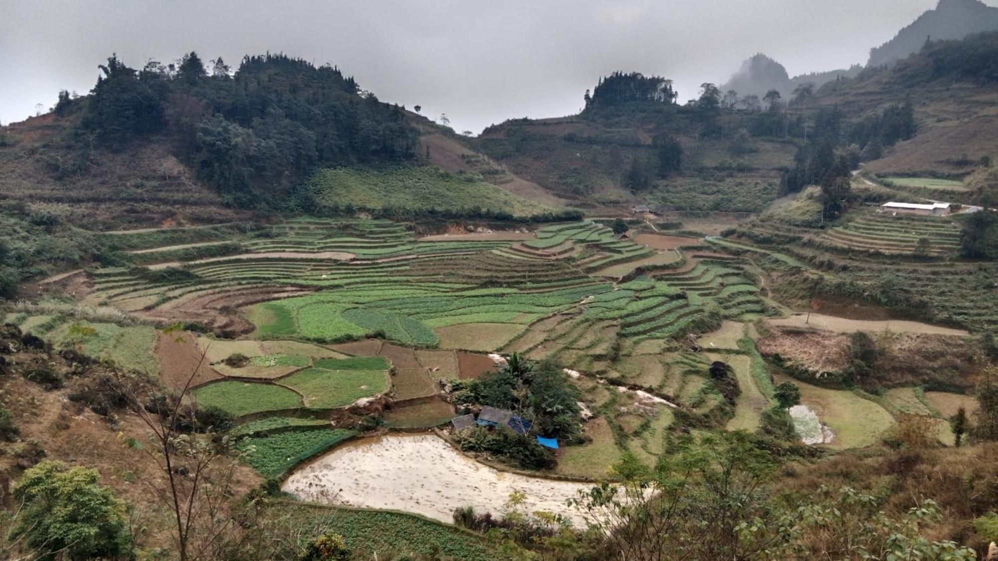 Higland * Bac Ha (Lao Cai)