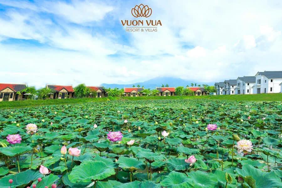 Onsen Mineral Bath, Vuon Vua, Thanh Thuy, Resort