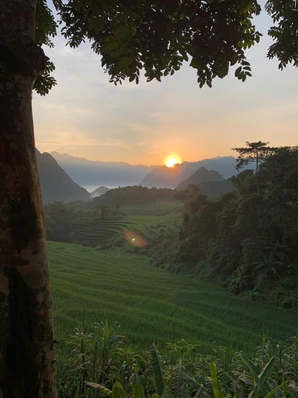 Puluong Aroma Huong Ba Thuoc