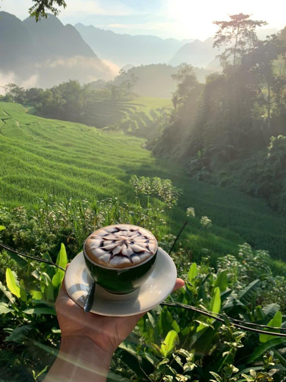 Puluong Aroma * Huong Ba Thuoc