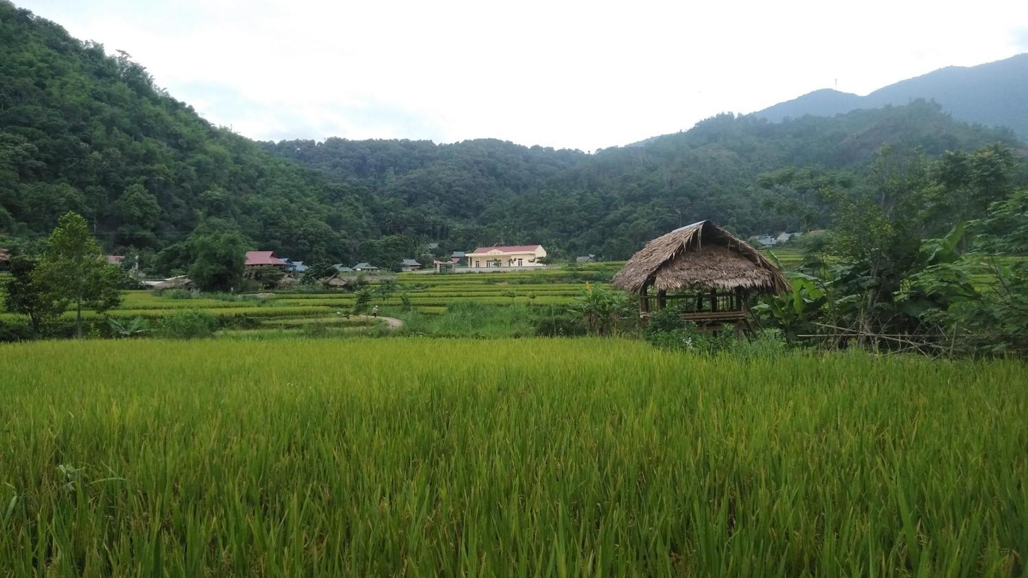 Puluong Aroma Frühstückspension Huong Ba Thuoc