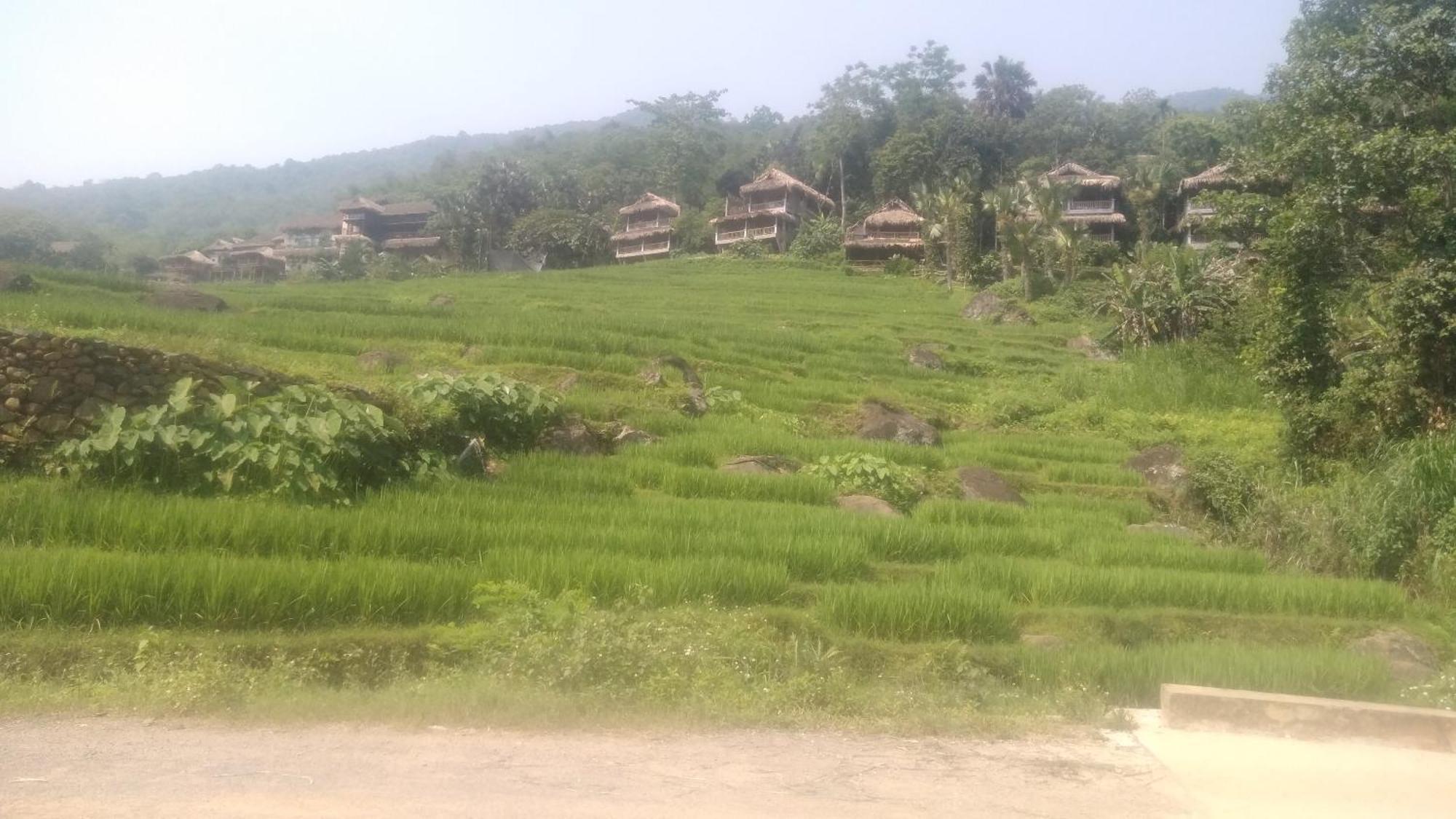 Puluong Aroma *