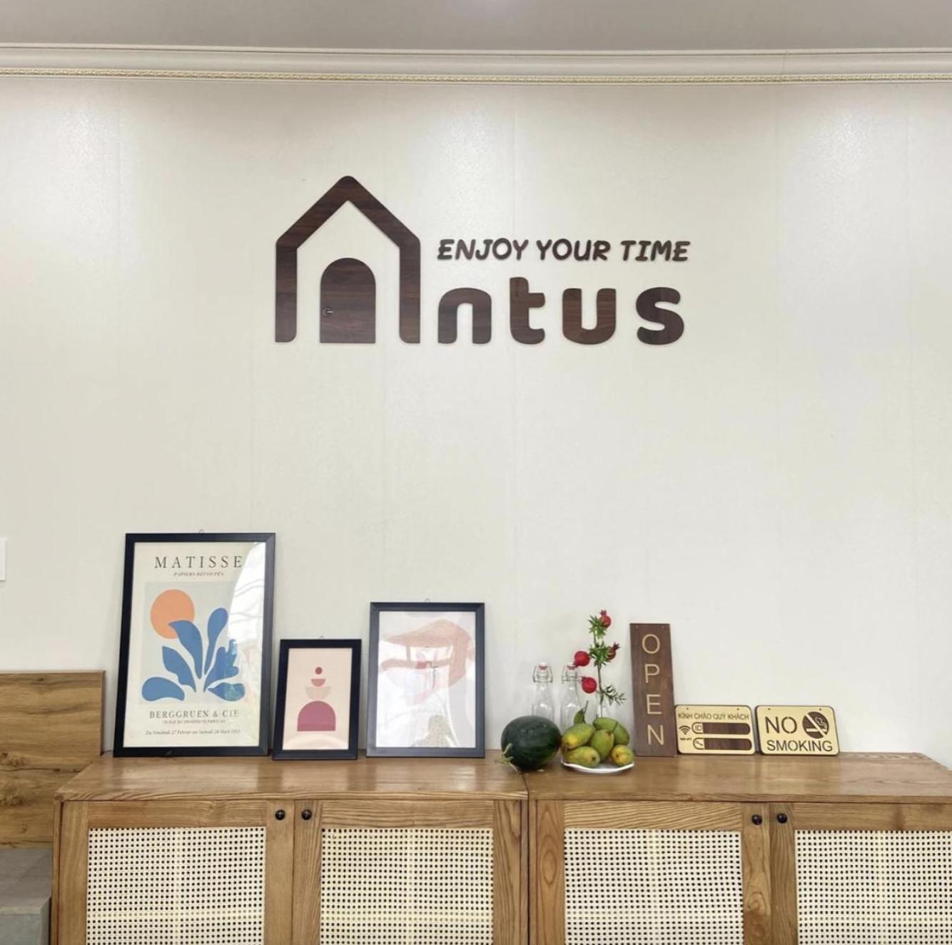 Antus