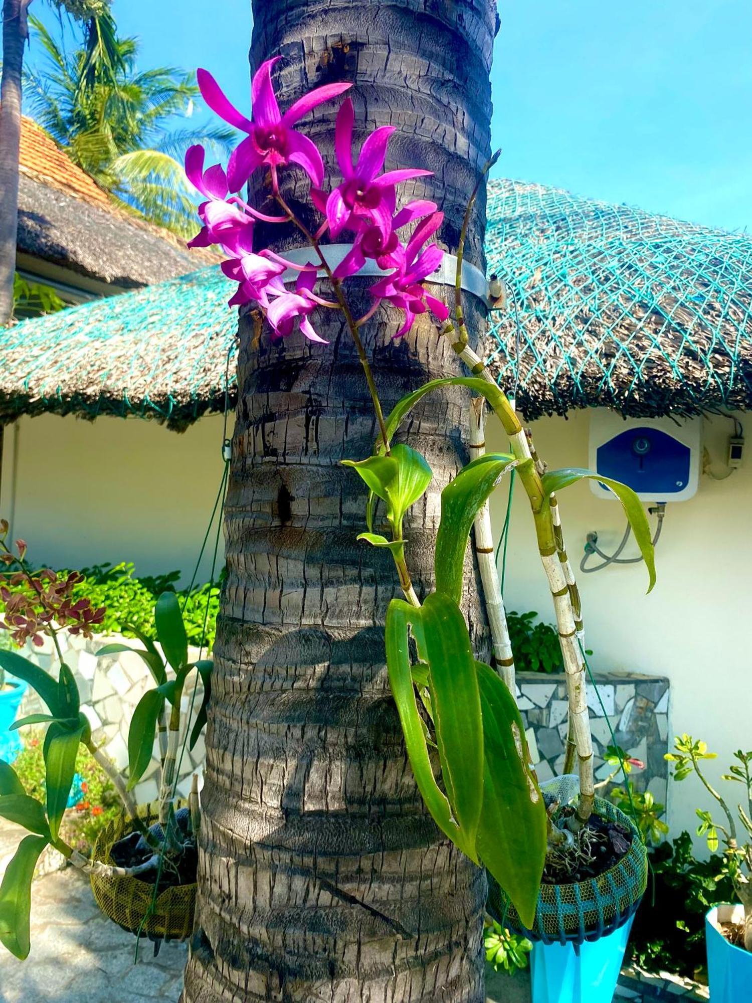 Paradise Doc Let Resort 3*
