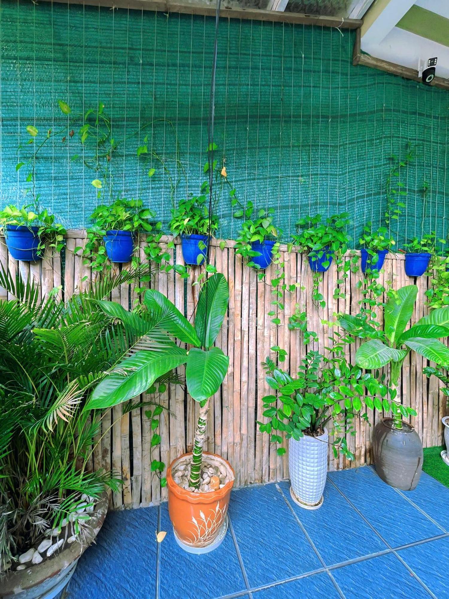 An Bang White Sea Homestay