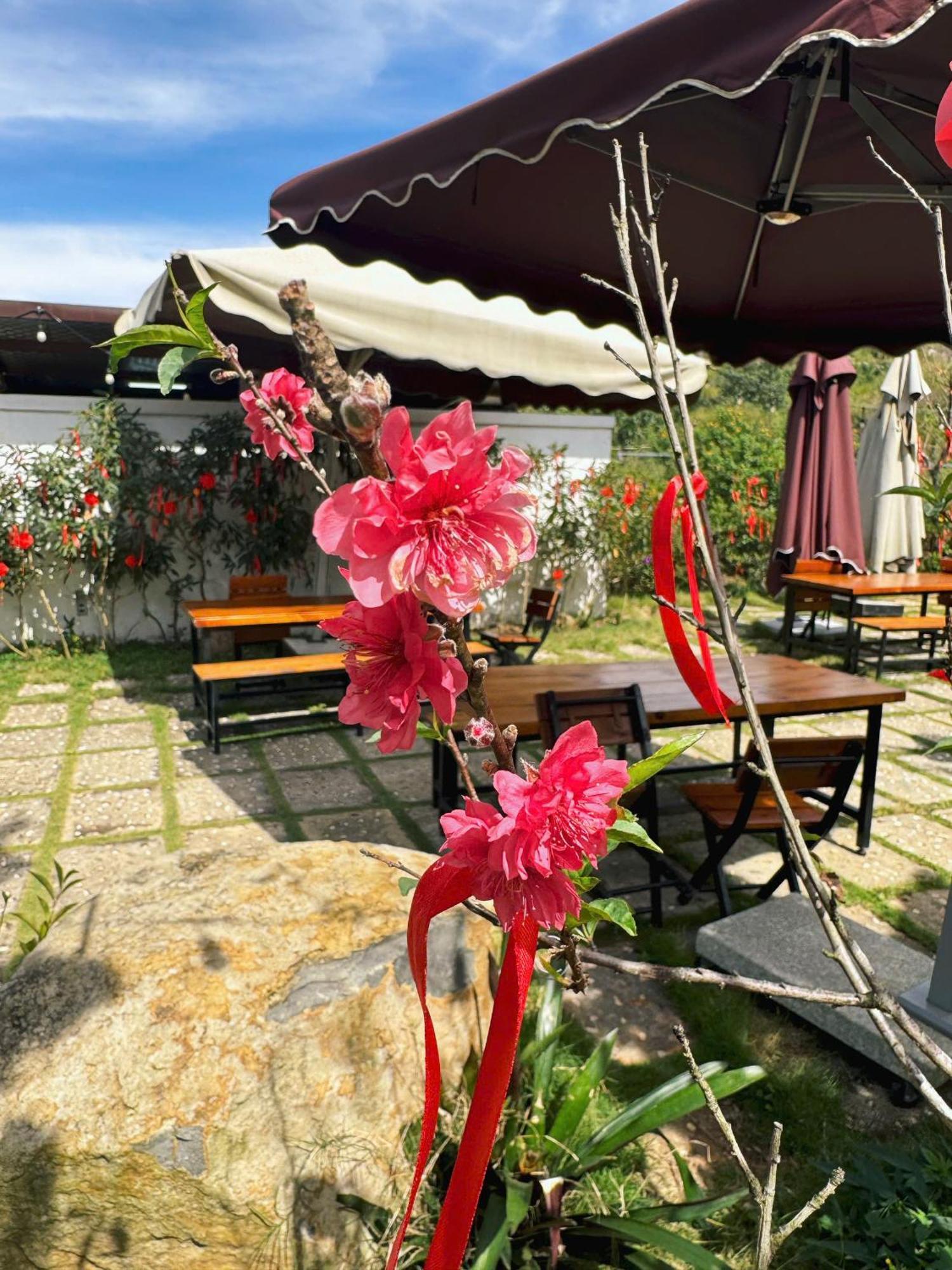Hotel Greeneco - Khach San Eco Da Lat