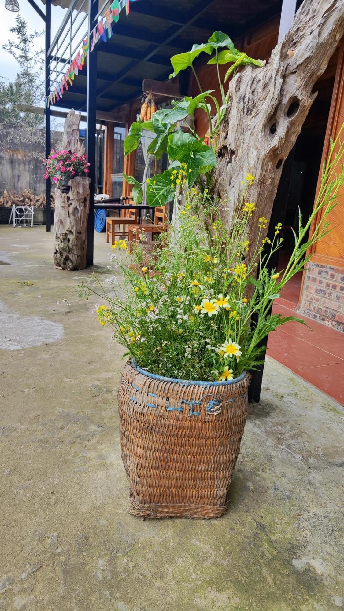 Tavan View Homestay *