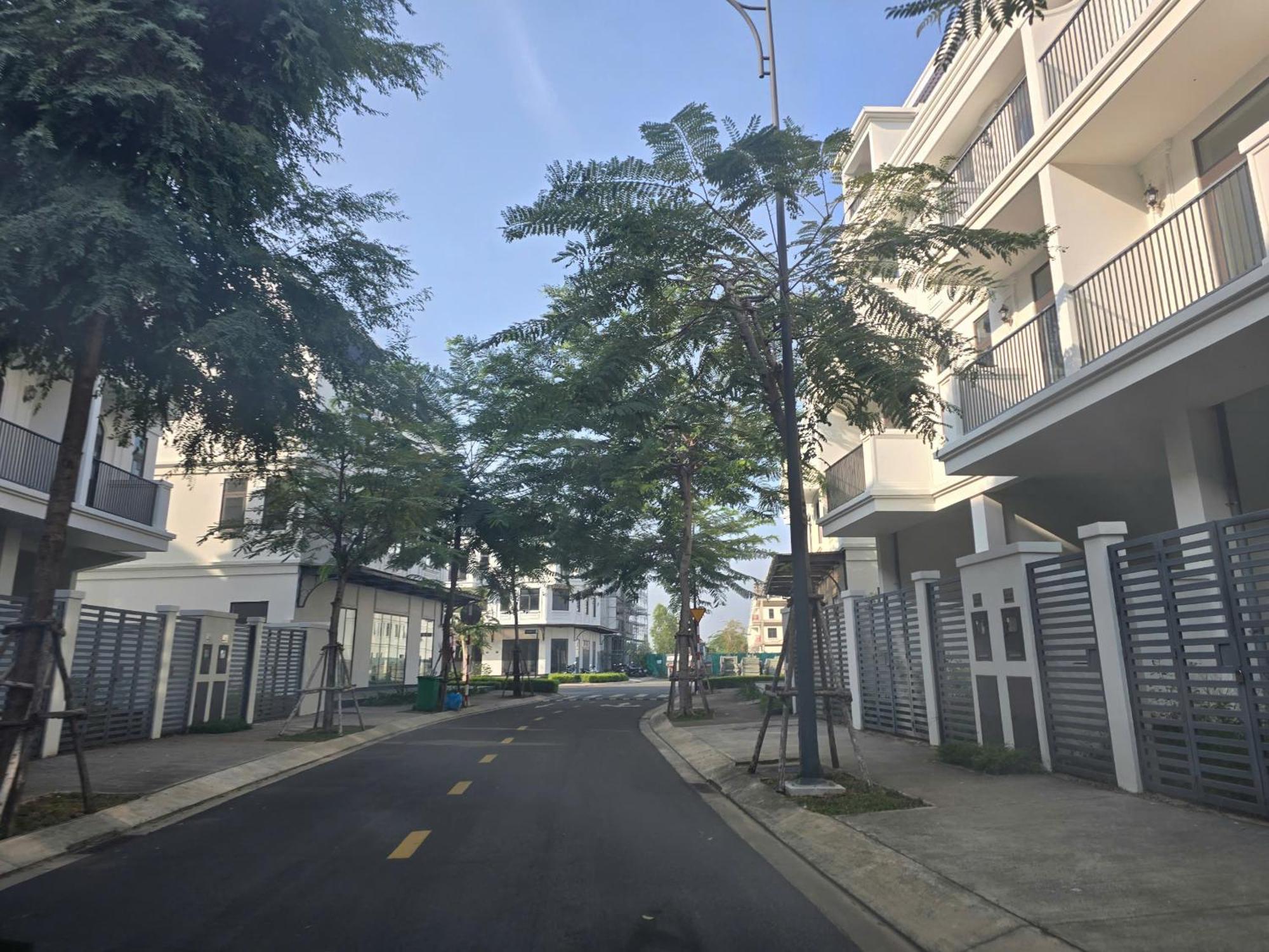 Zozo House - Bai Sau Love hotel