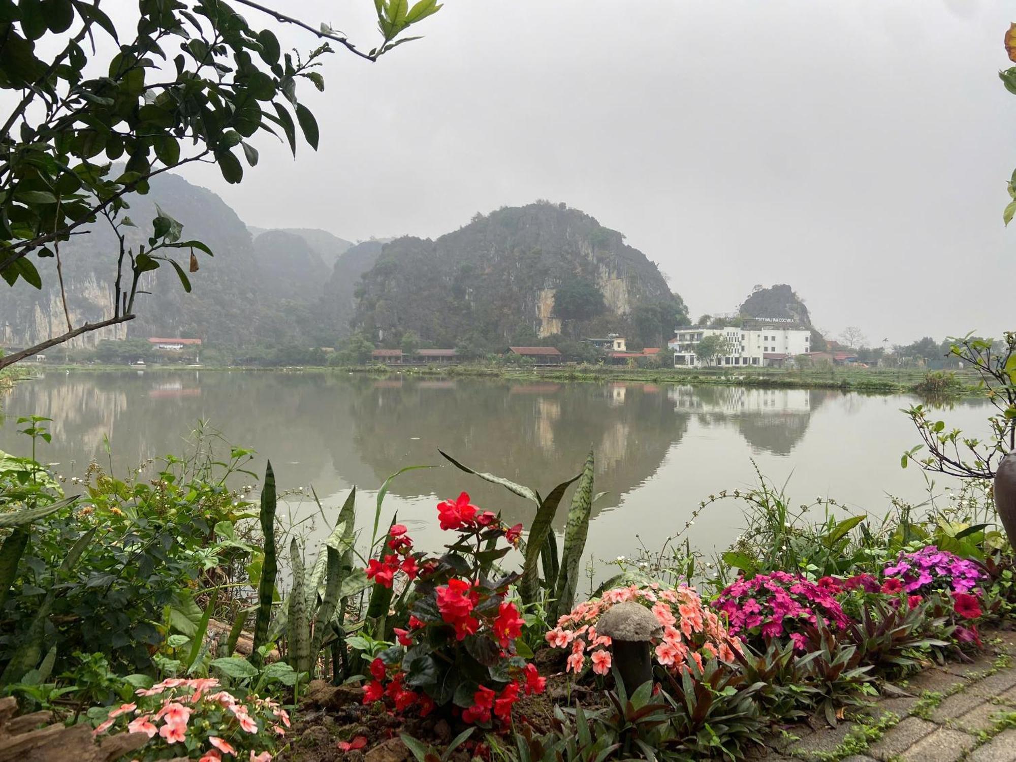 Tam Coc Mountain View Homestay