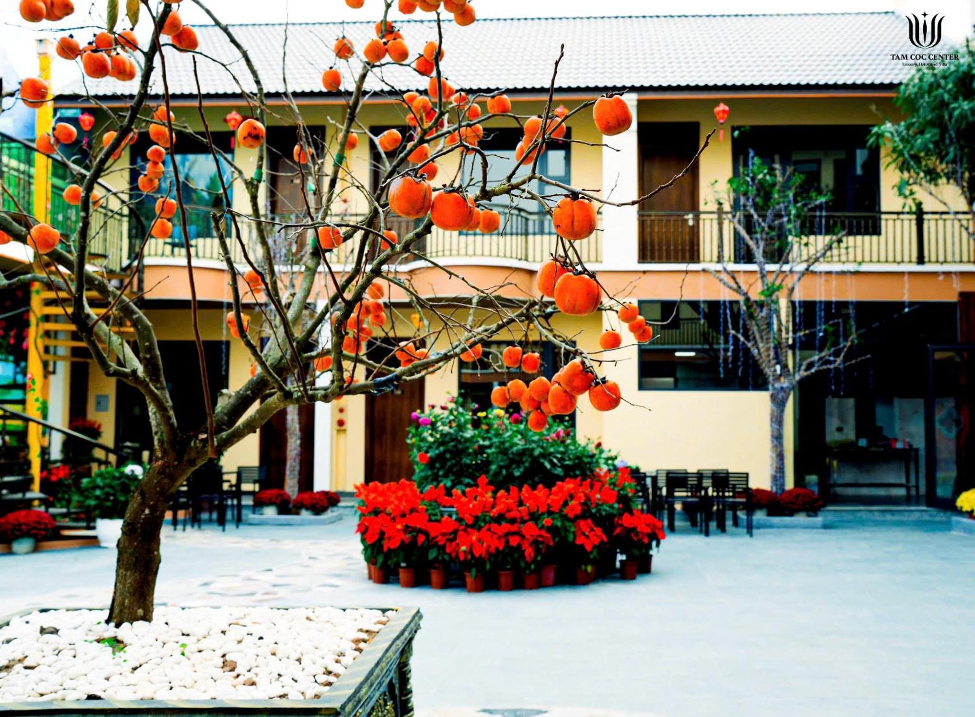 Hotel Tam Coc Center Luxury 3*