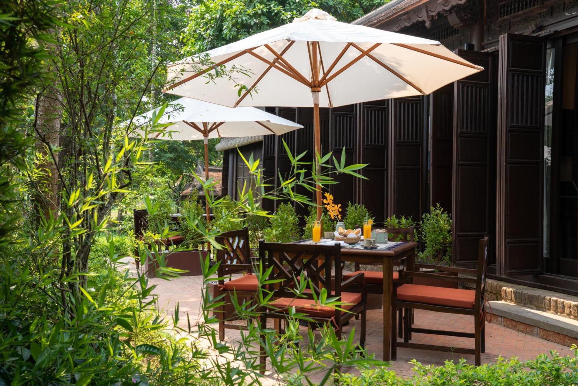 Ancient Garden Hue