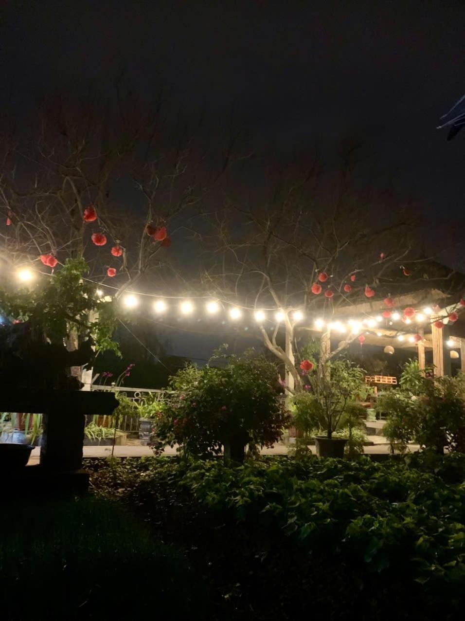 Blue Garden Apartment Ninh Binh
