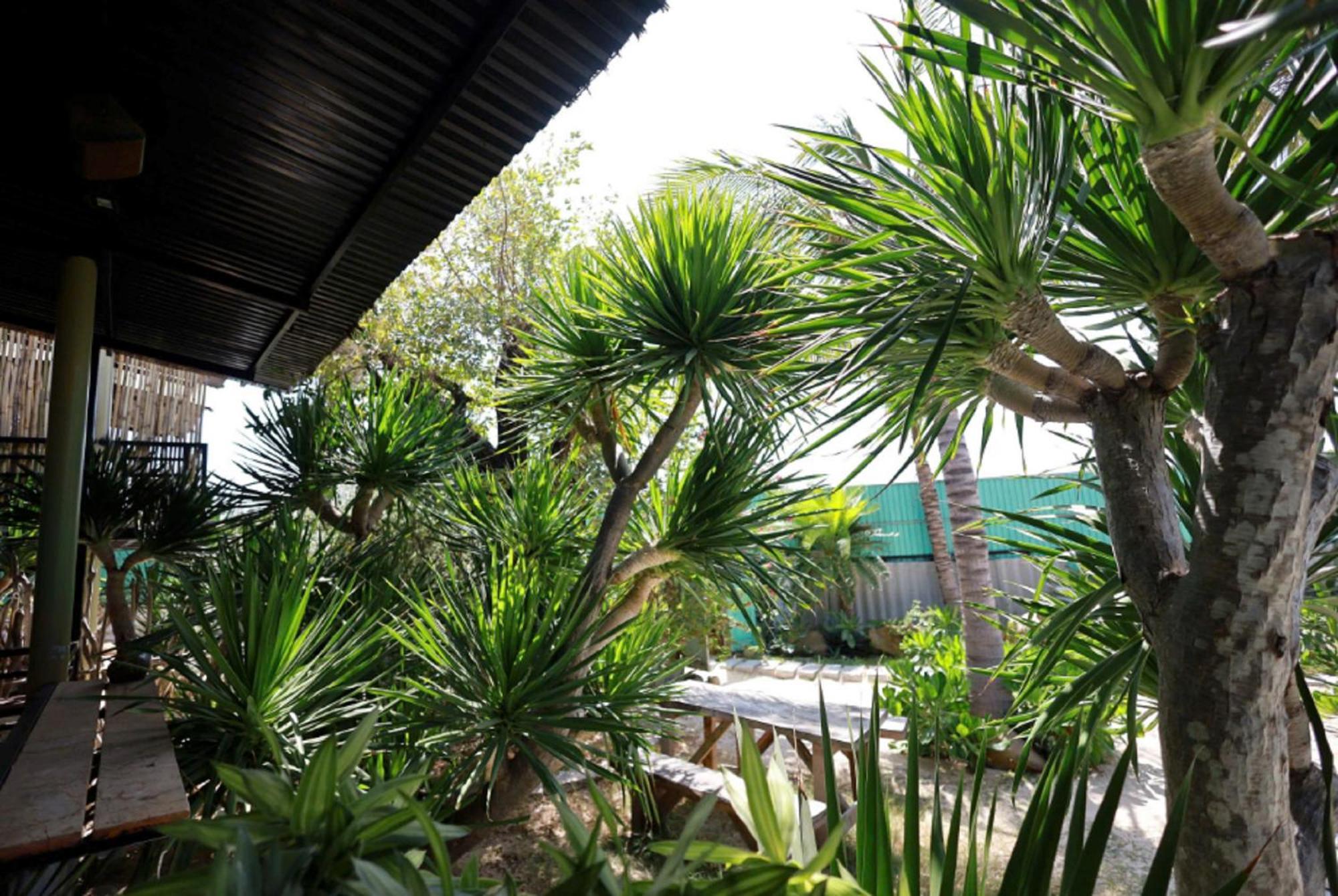 Homestay Hanh Ngo - Hon Do Ninh Thuan Phan Rang