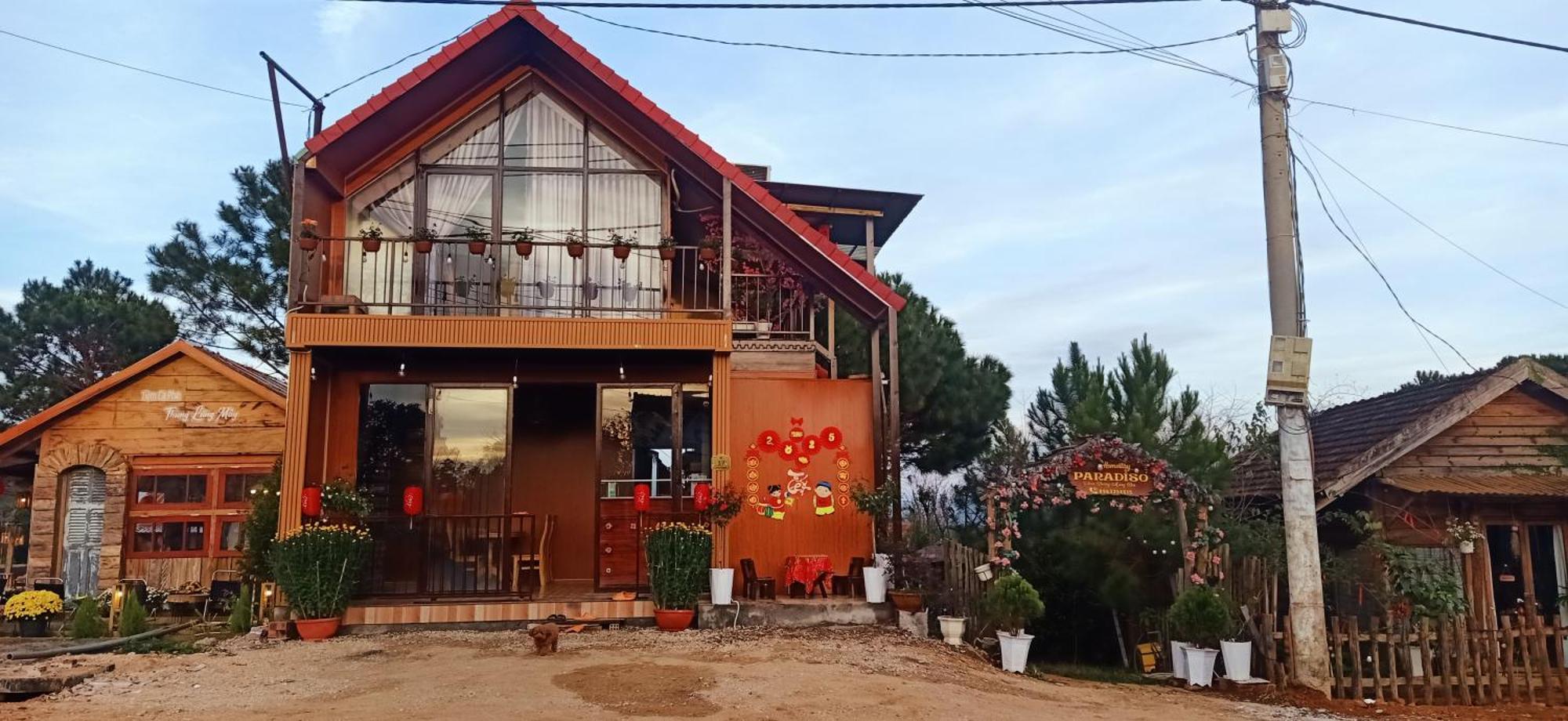 Paradiso Măng đen
