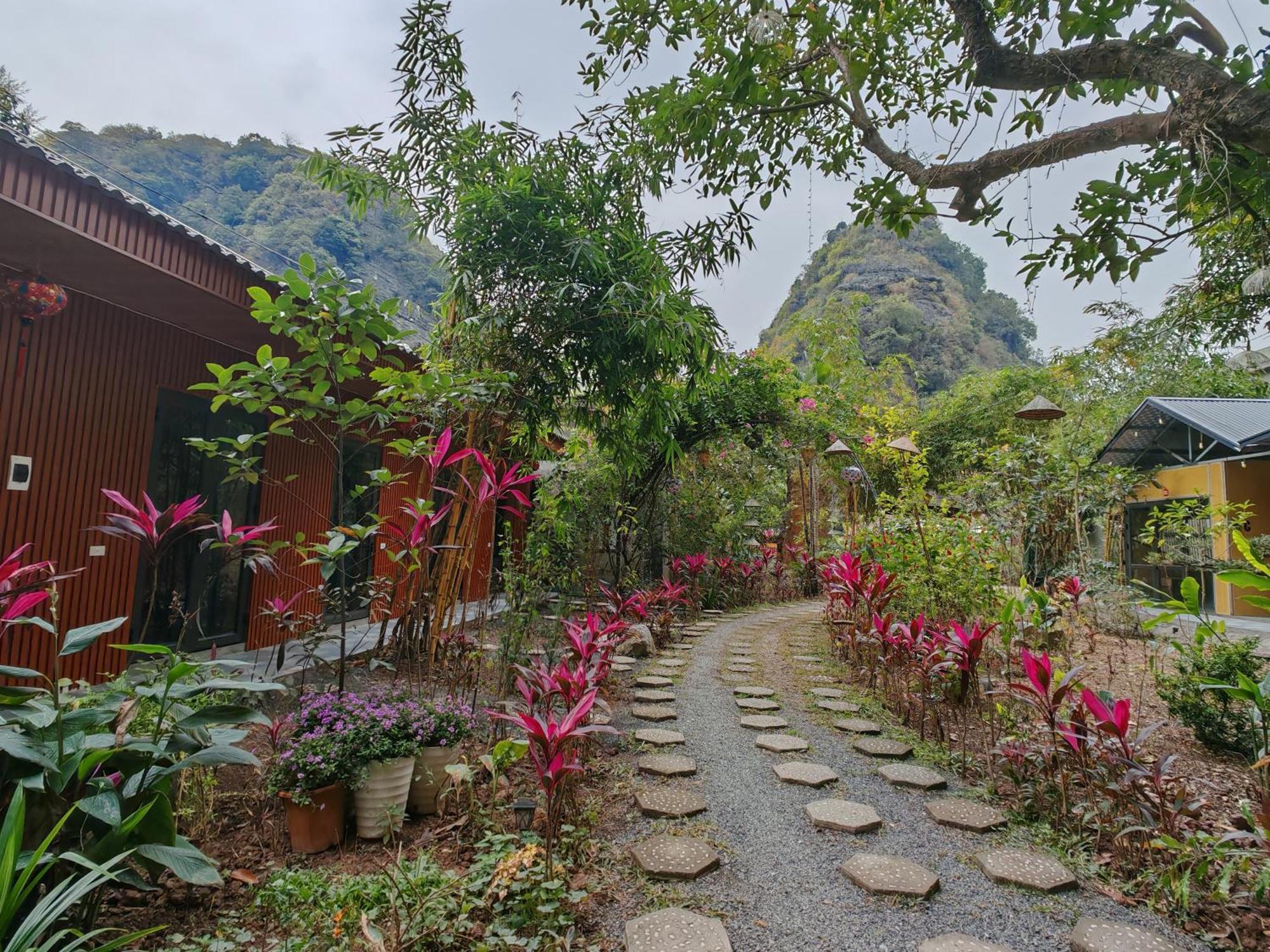 Valley - Thung Lung Xanh Nguyen Ngoai