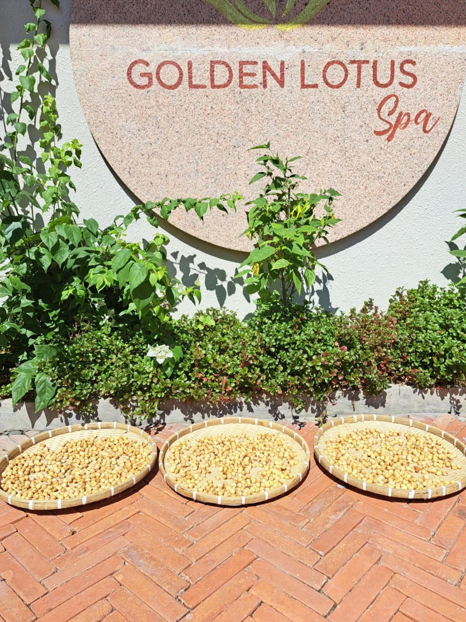 Hotel Golden Lotus & *