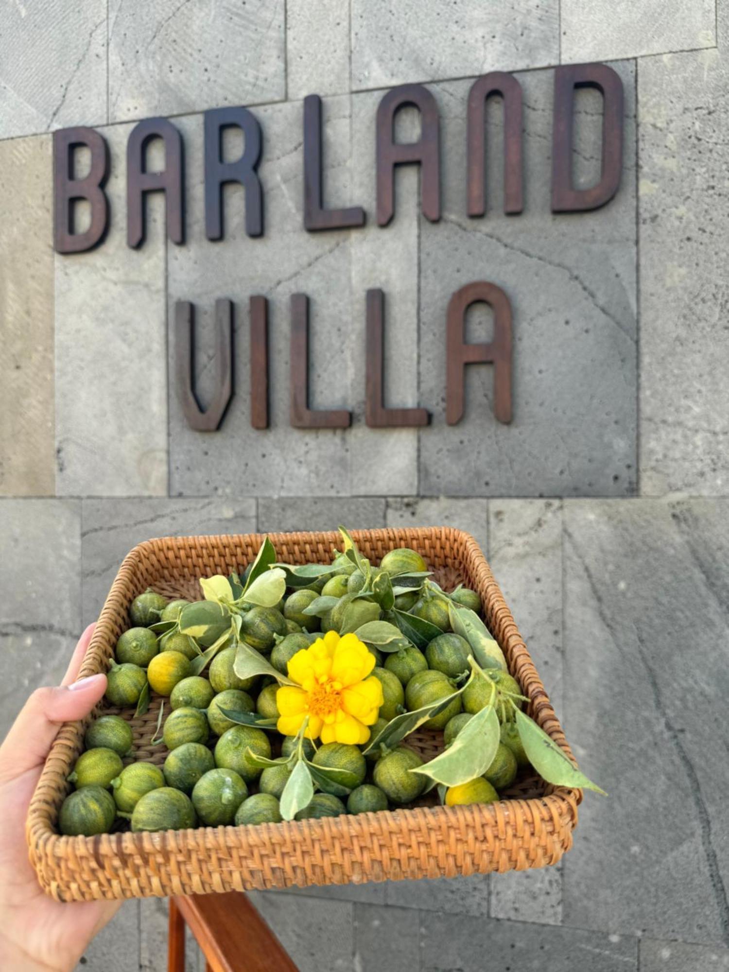 Barland Kê Gà