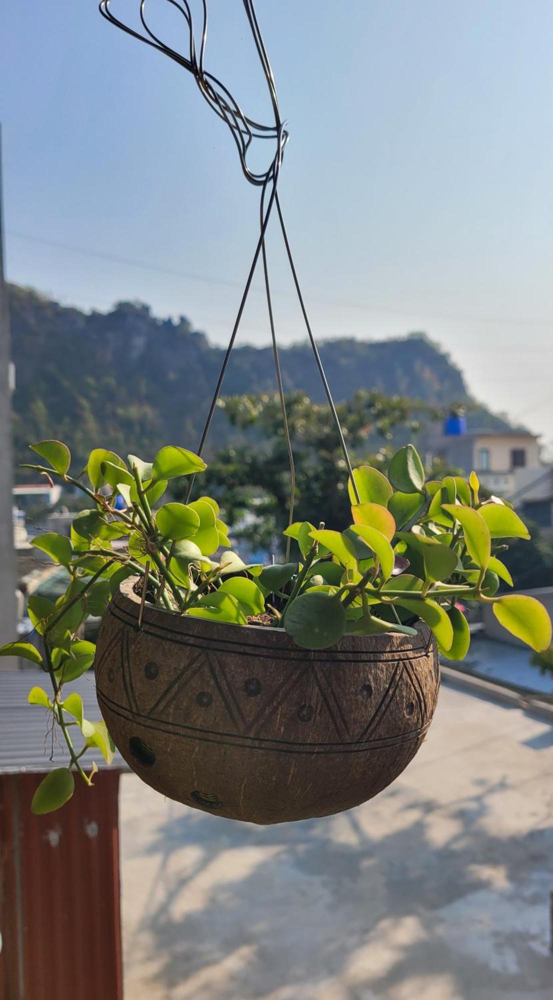 Guest house Tiny Garden House Cat Ba *