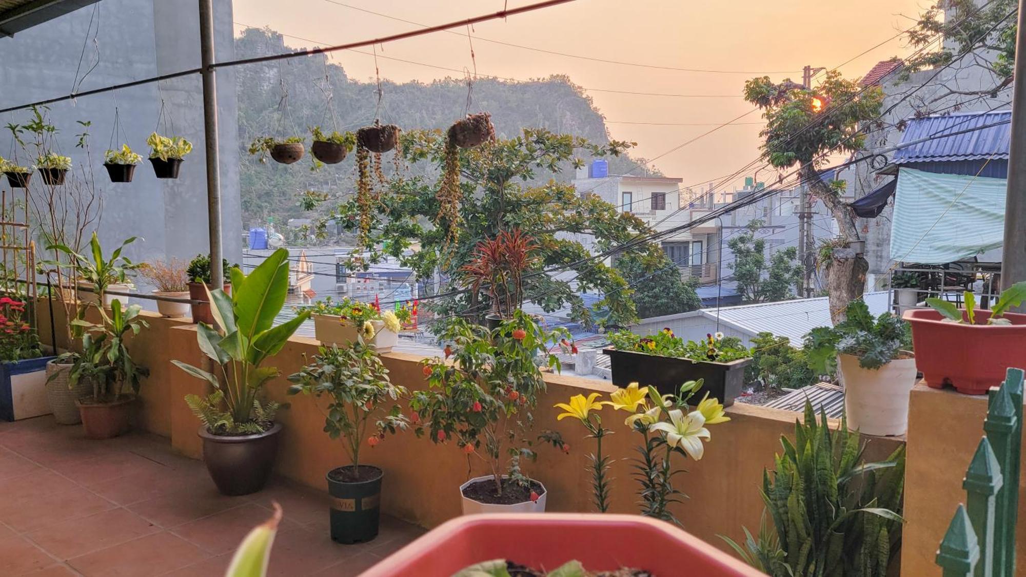 Tiny Garden House Cat Ba