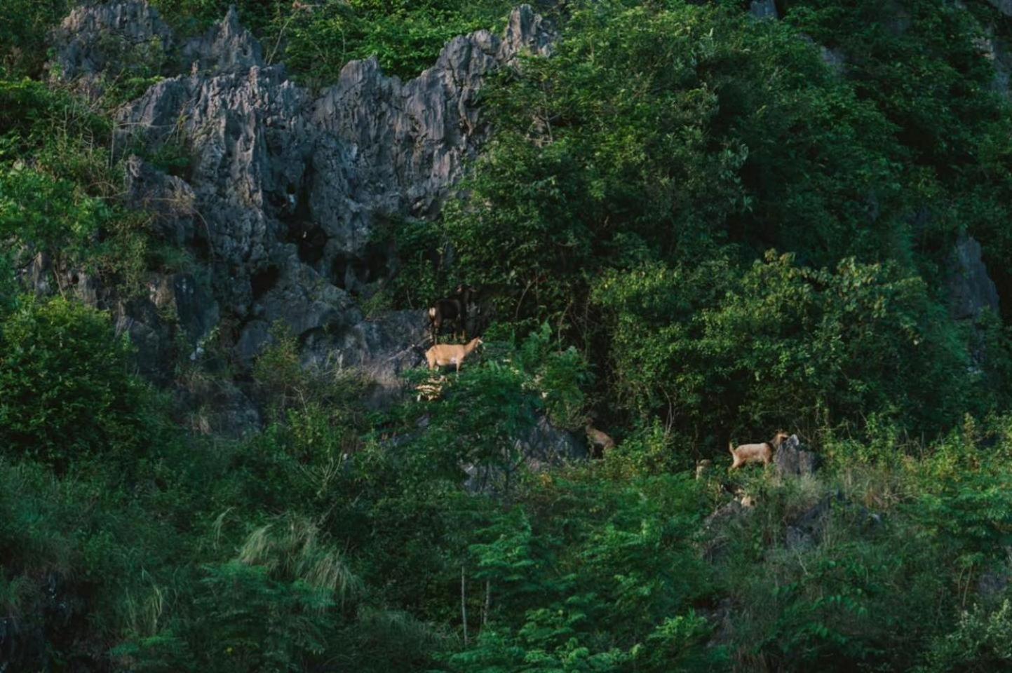 Lalita Tam Coc & 4* Ninh Binh